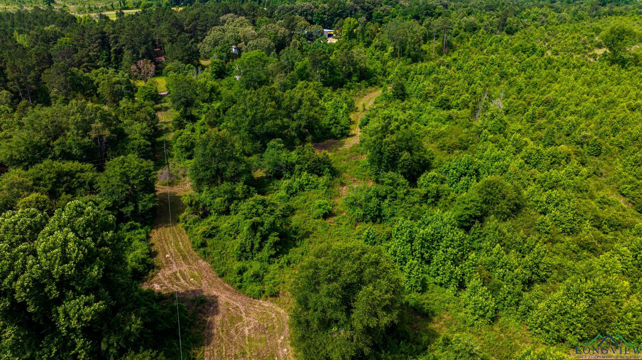 TBD Cr 2747, Hughes Springs, Texas image 8