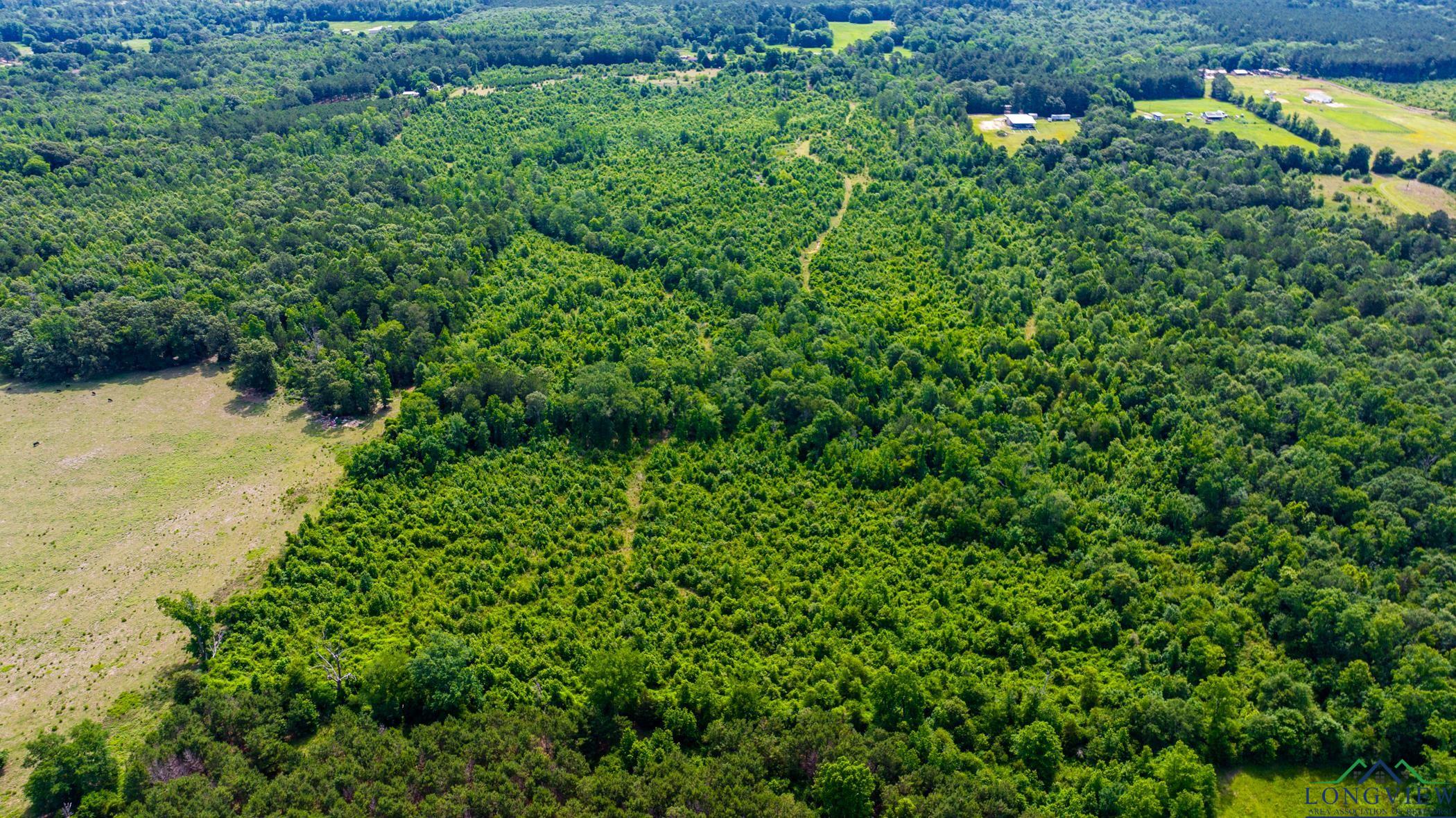 TBD Cr 2747, Hughes Springs, Texas image 23