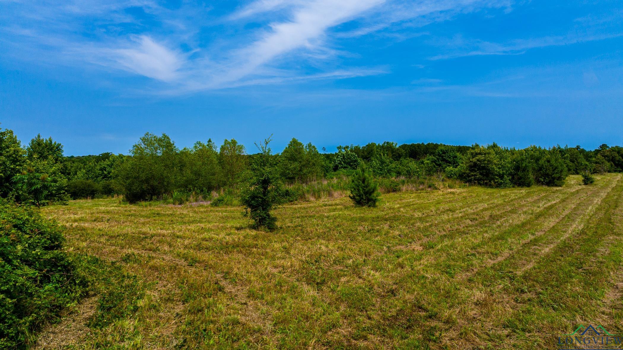 TBD Cr 2747, Hughes Springs, Texas image 13