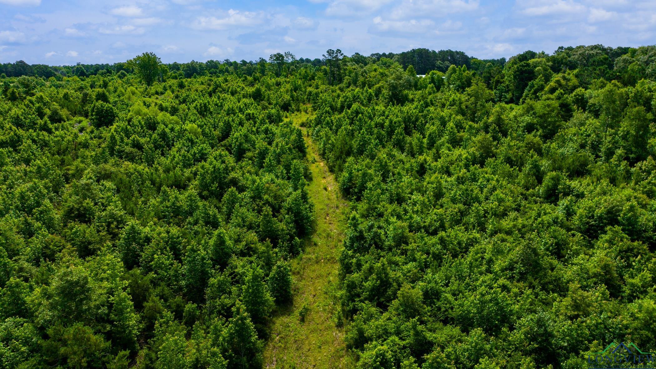 TBD Cr 2747, Hughes Springs, Texas image 27