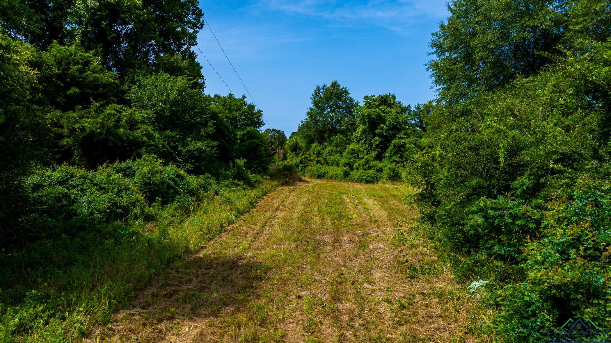 TBD Cr 2747, Hughes Springs, Texas image 11