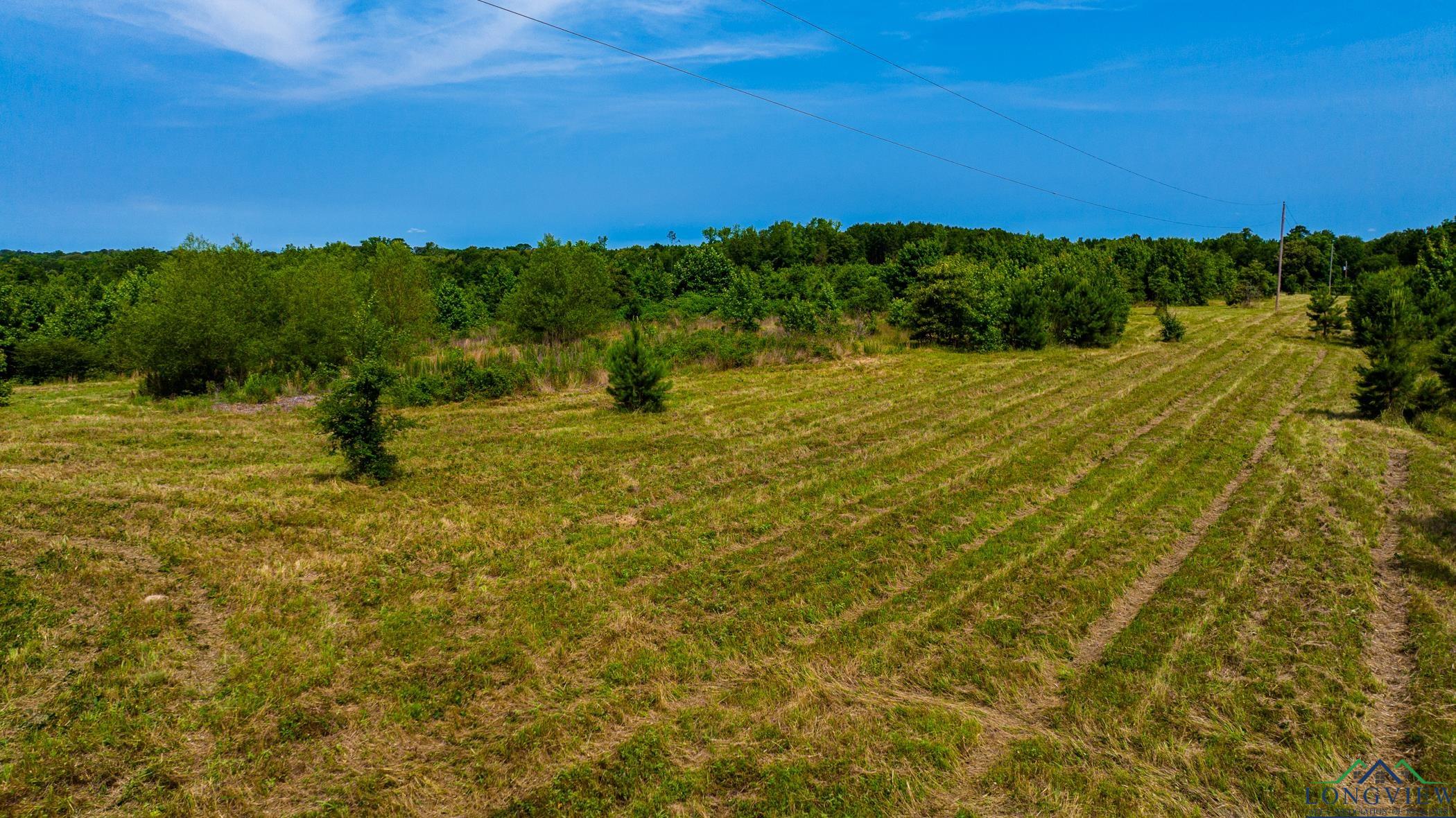 TBD Cr 2747, Hughes Springs, Texas image 9