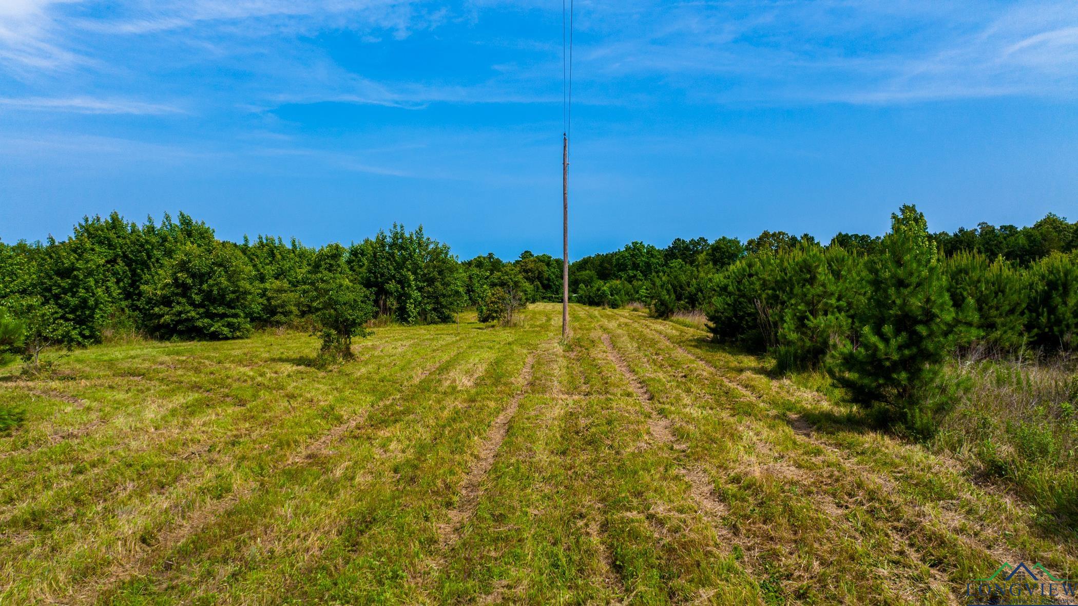 TBD Cr 2747, Hughes Springs, Texas image 15