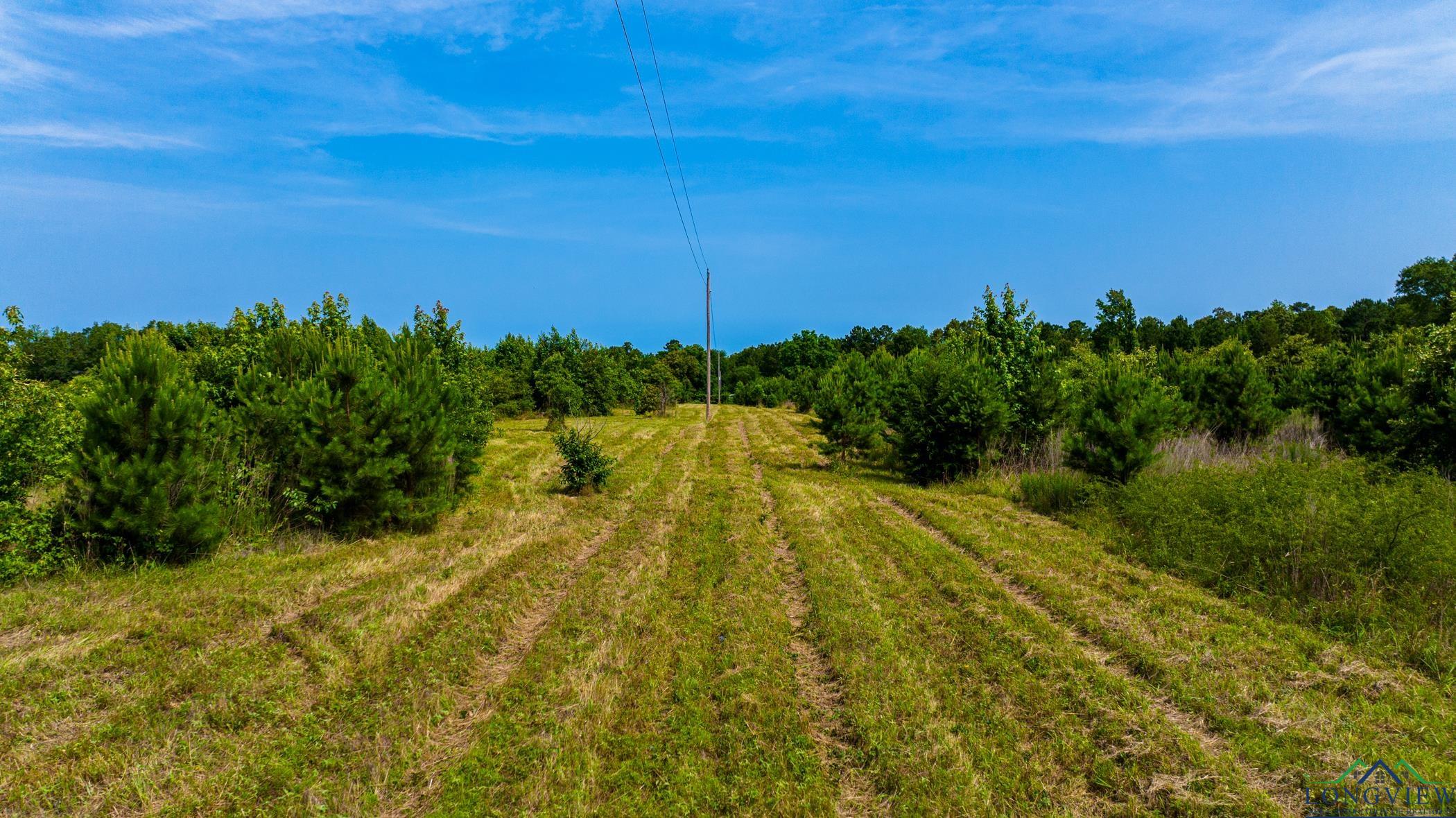 TBD Cr 2747, Hughes Springs, Texas image 14