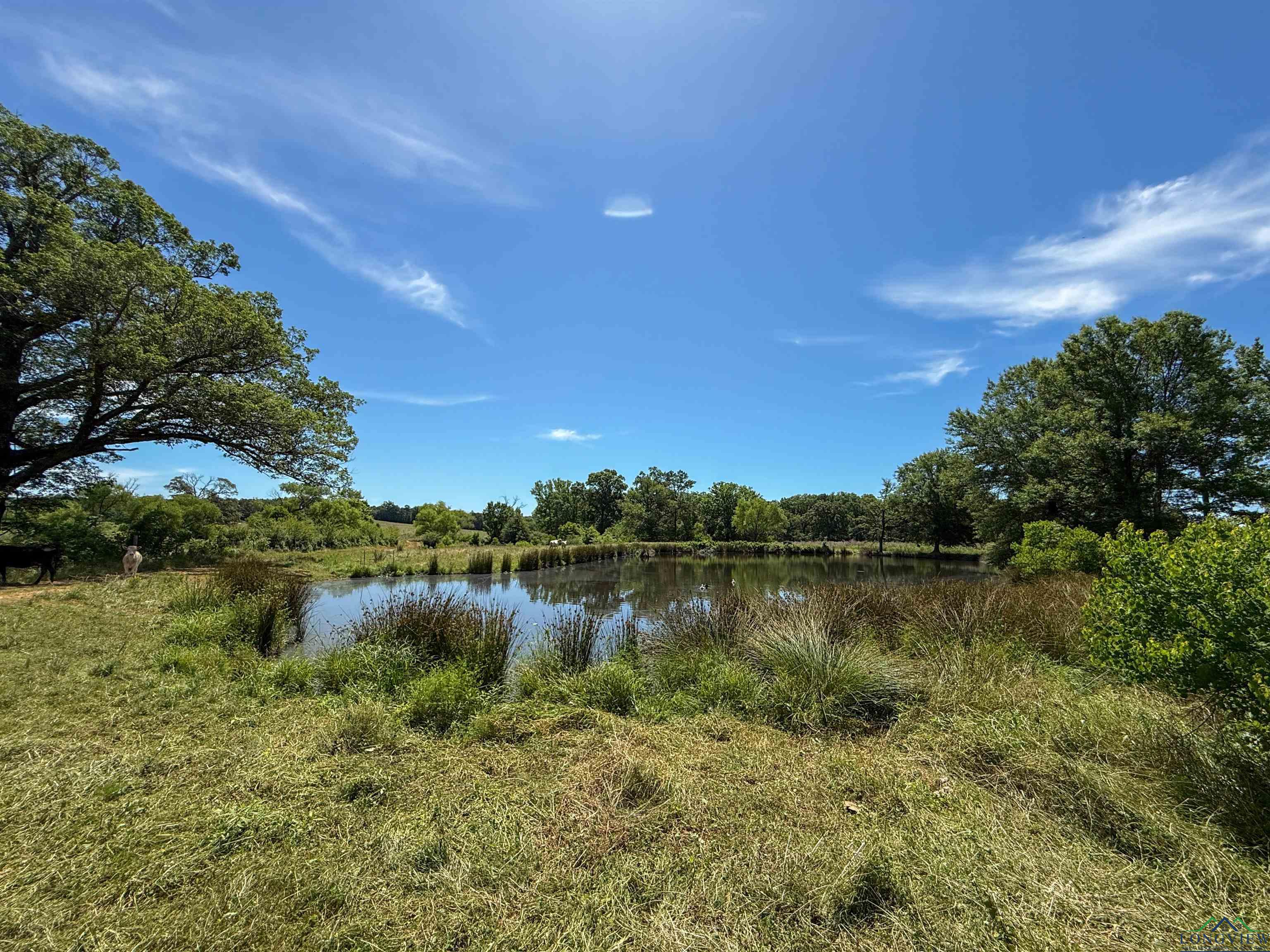 7557 Fm 248, Lodi, Texas image 24