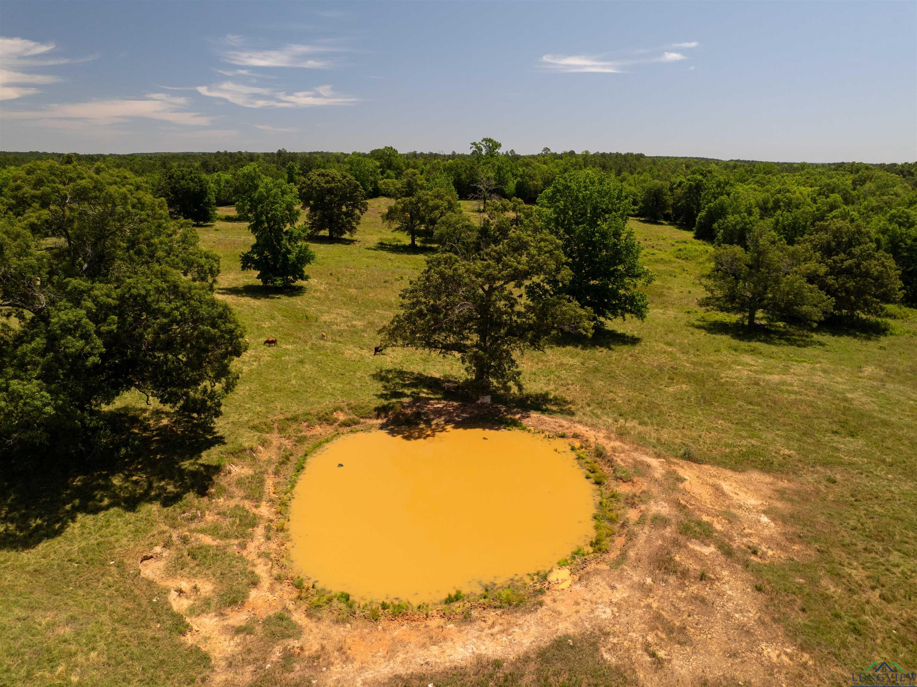 7557 Fm 248, Lodi, Texas image 30