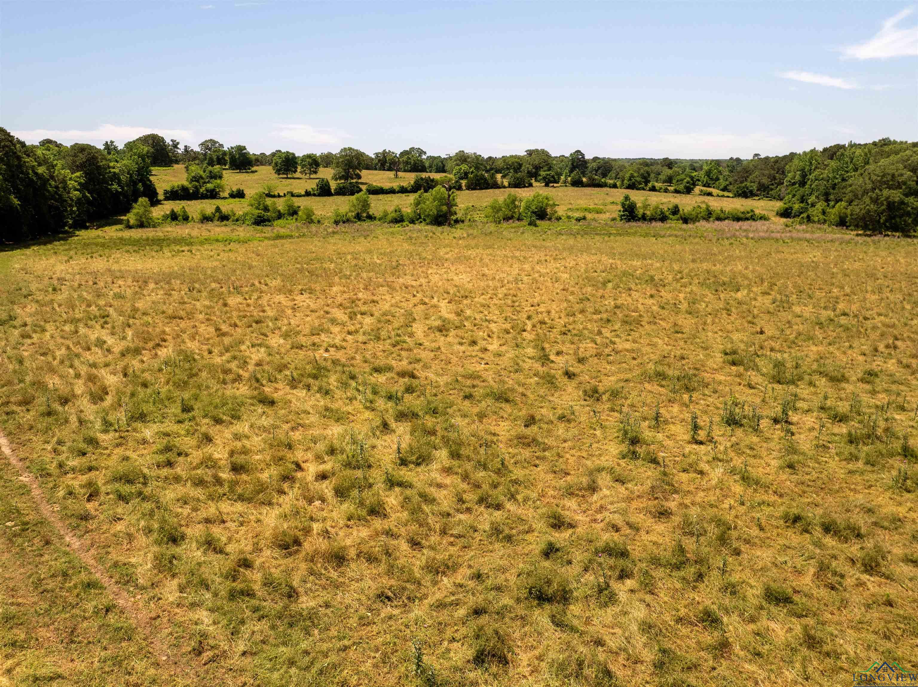 7557 Fm 248, Lodi, Texas image 47