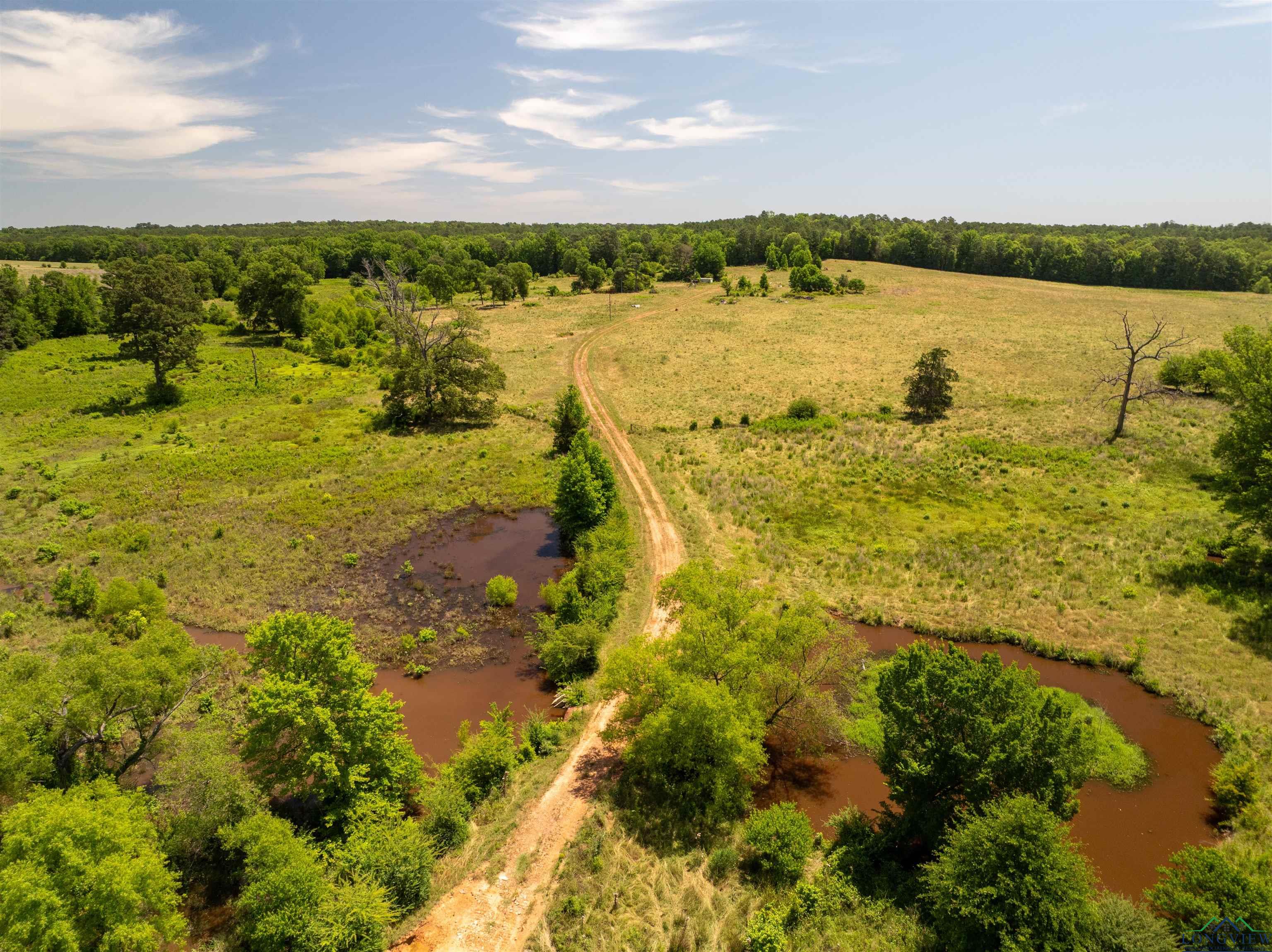 7557 Fm 248, Lodi, Texas image 28
