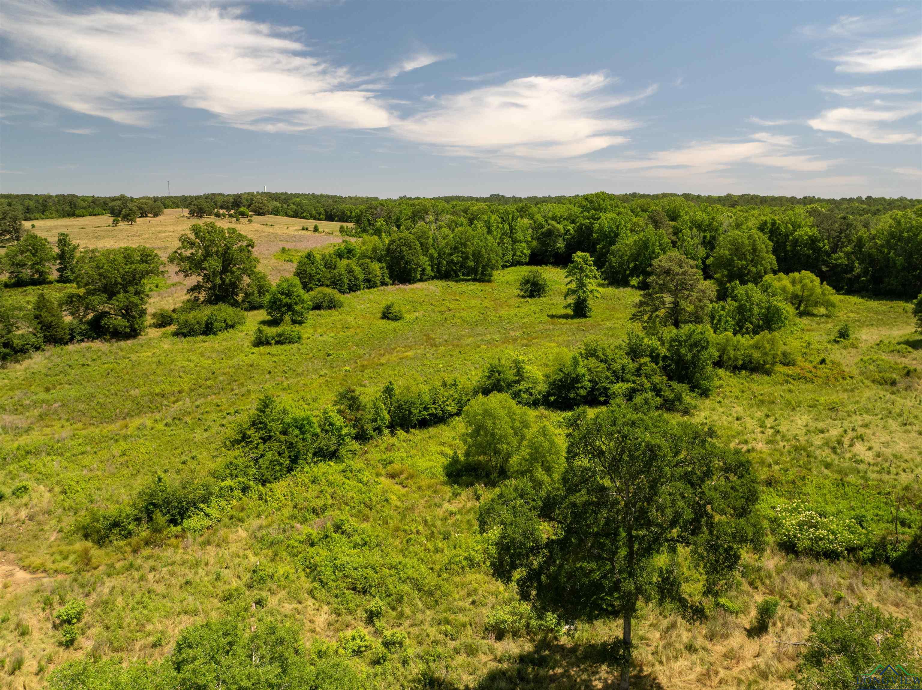 7557 Fm 248, Lodi, Texas image 43