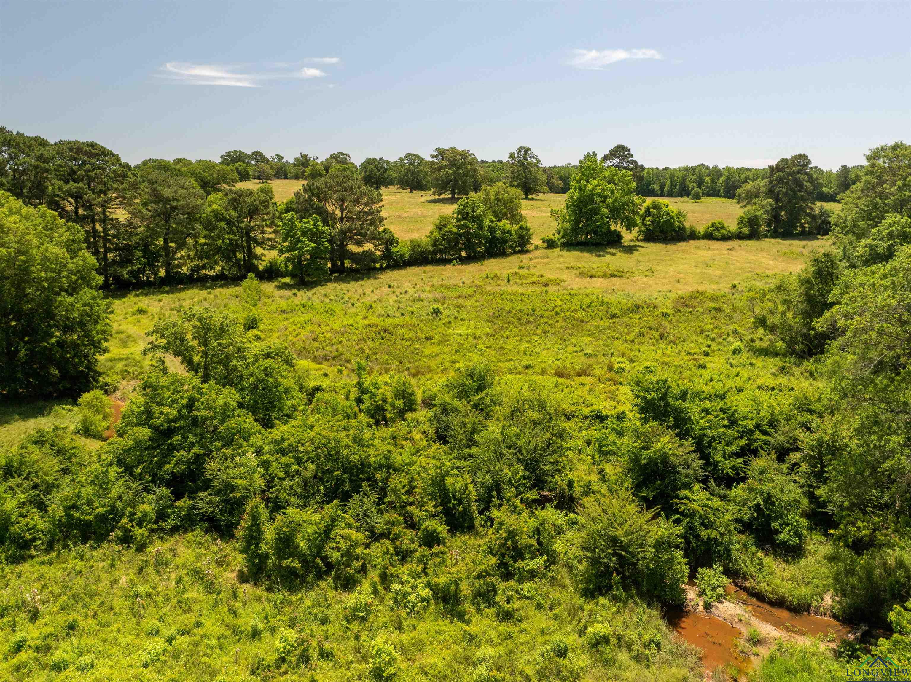 7557 Fm 248, Lodi, Texas image 39