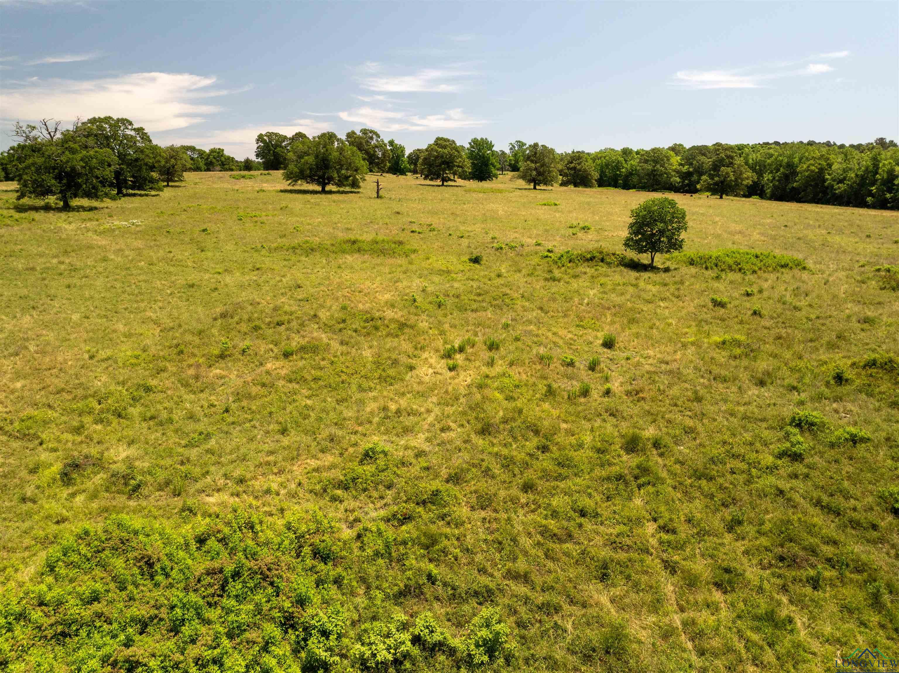 7557 Fm 248, Lodi, Texas image 49
