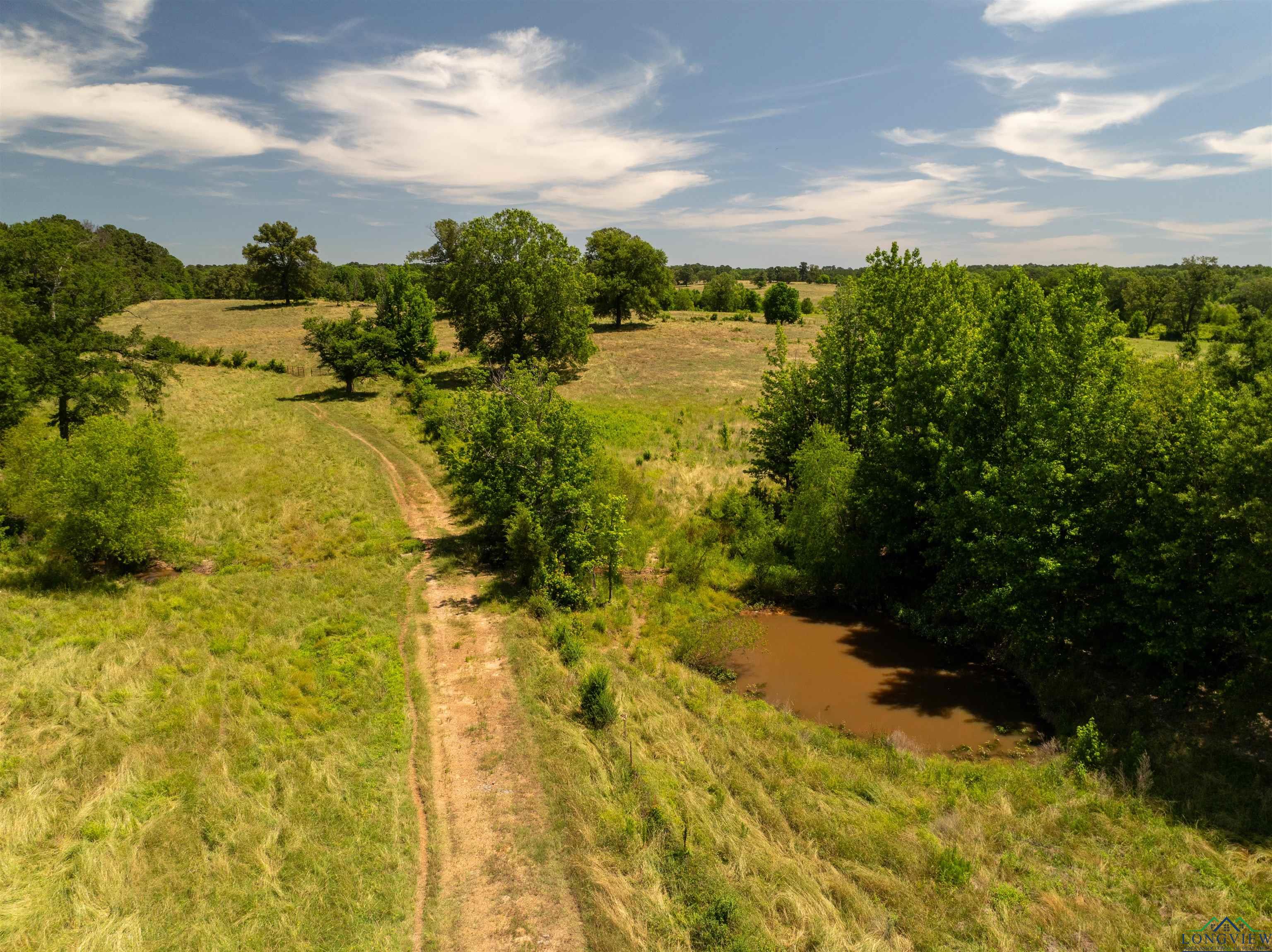 7557 Fm 248, Lodi, Texas image 35