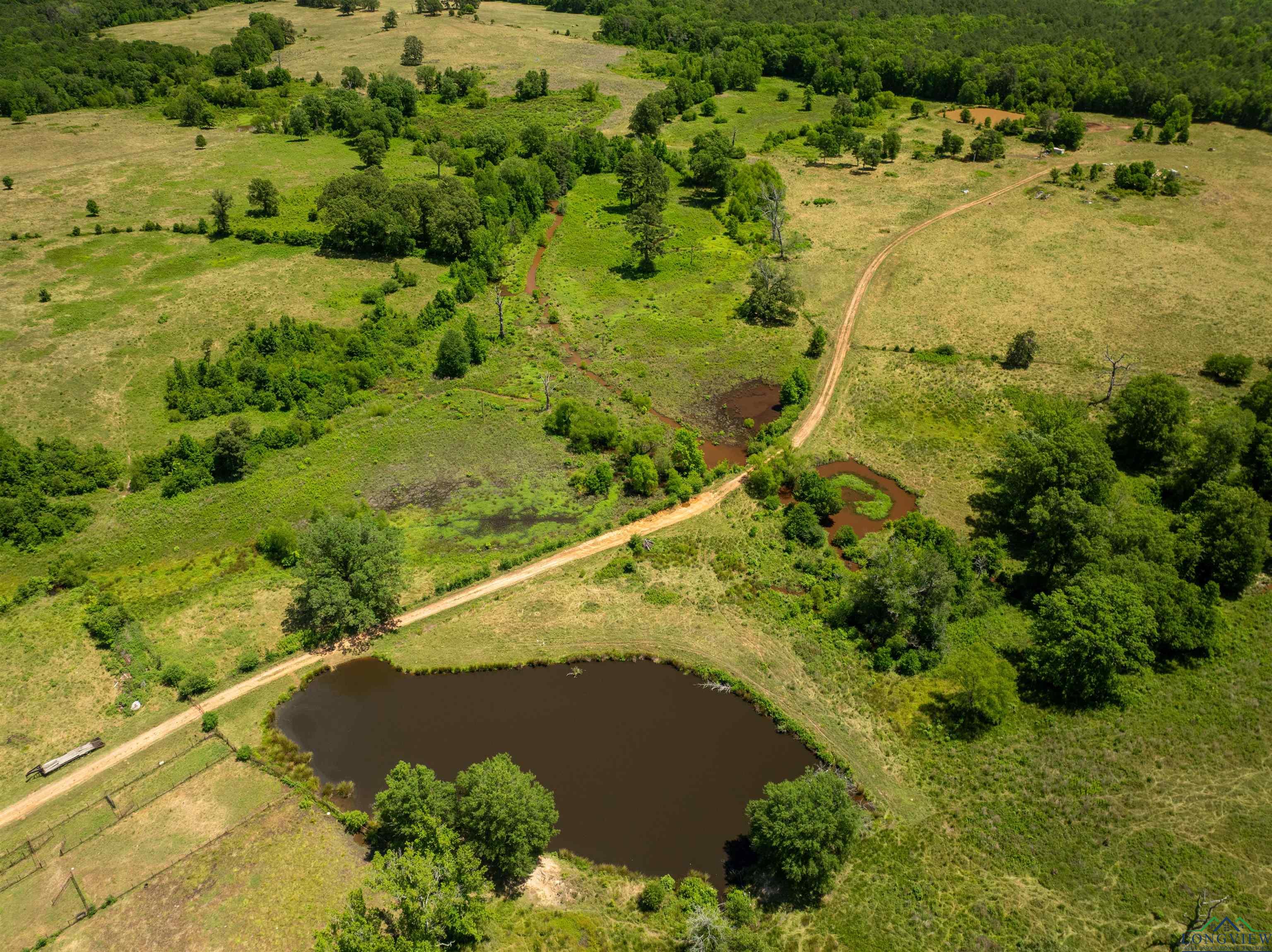 7557 Fm 248, Lodi, Texas image 27