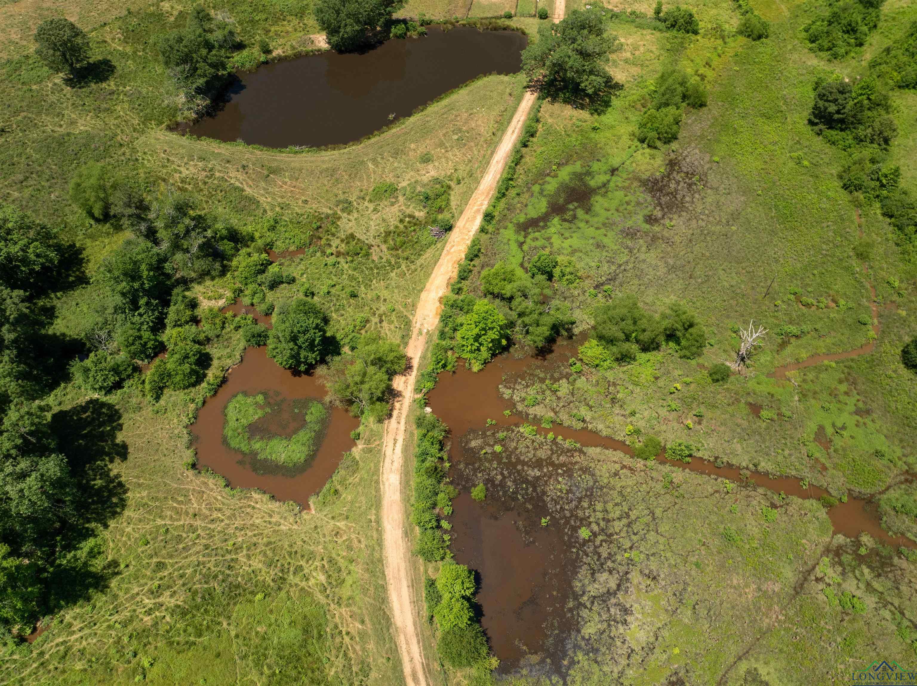7557 Fm 248, Lodi, Texas image 23