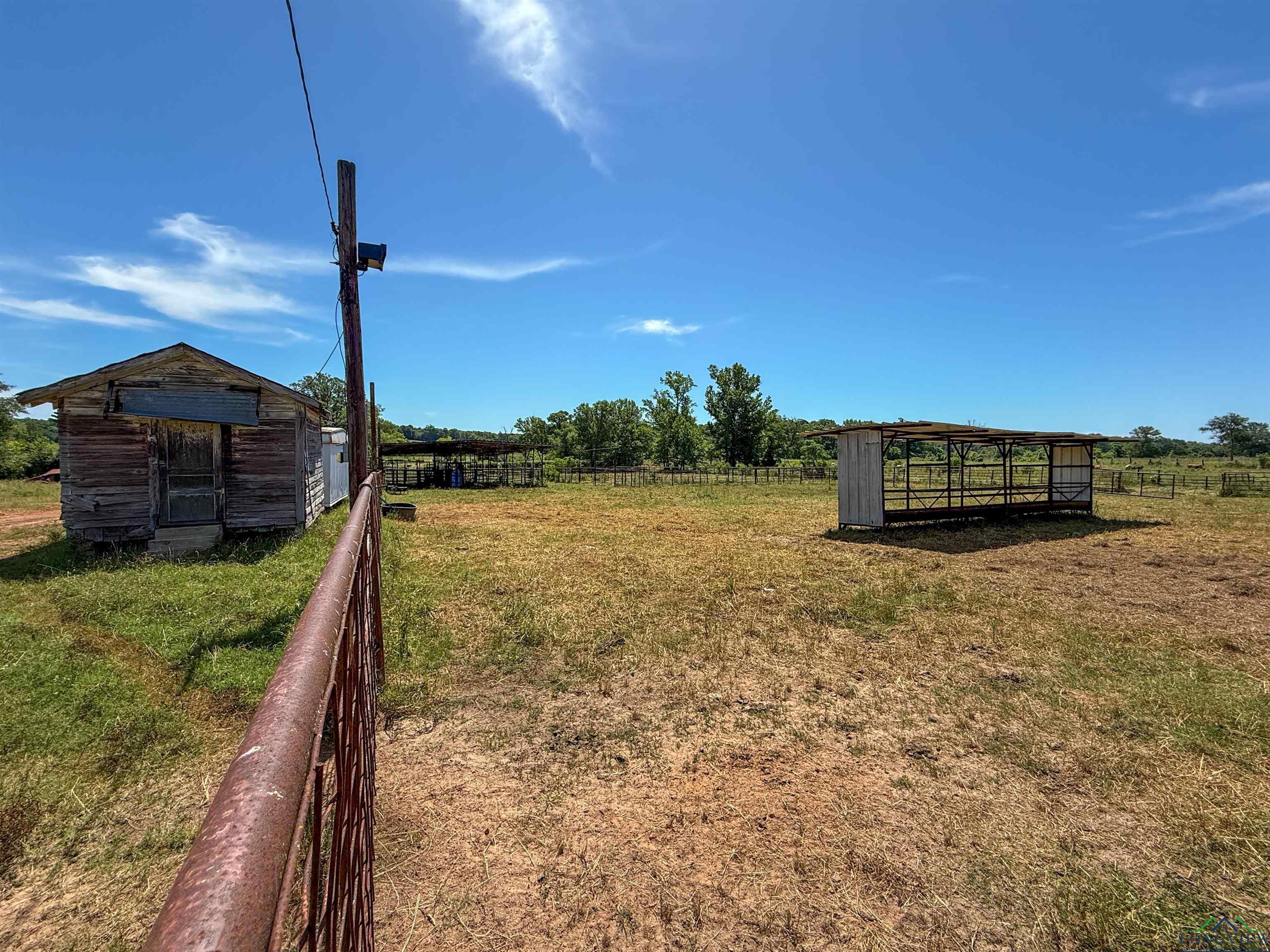 7557 Fm 248, Lodi, Texas image 21