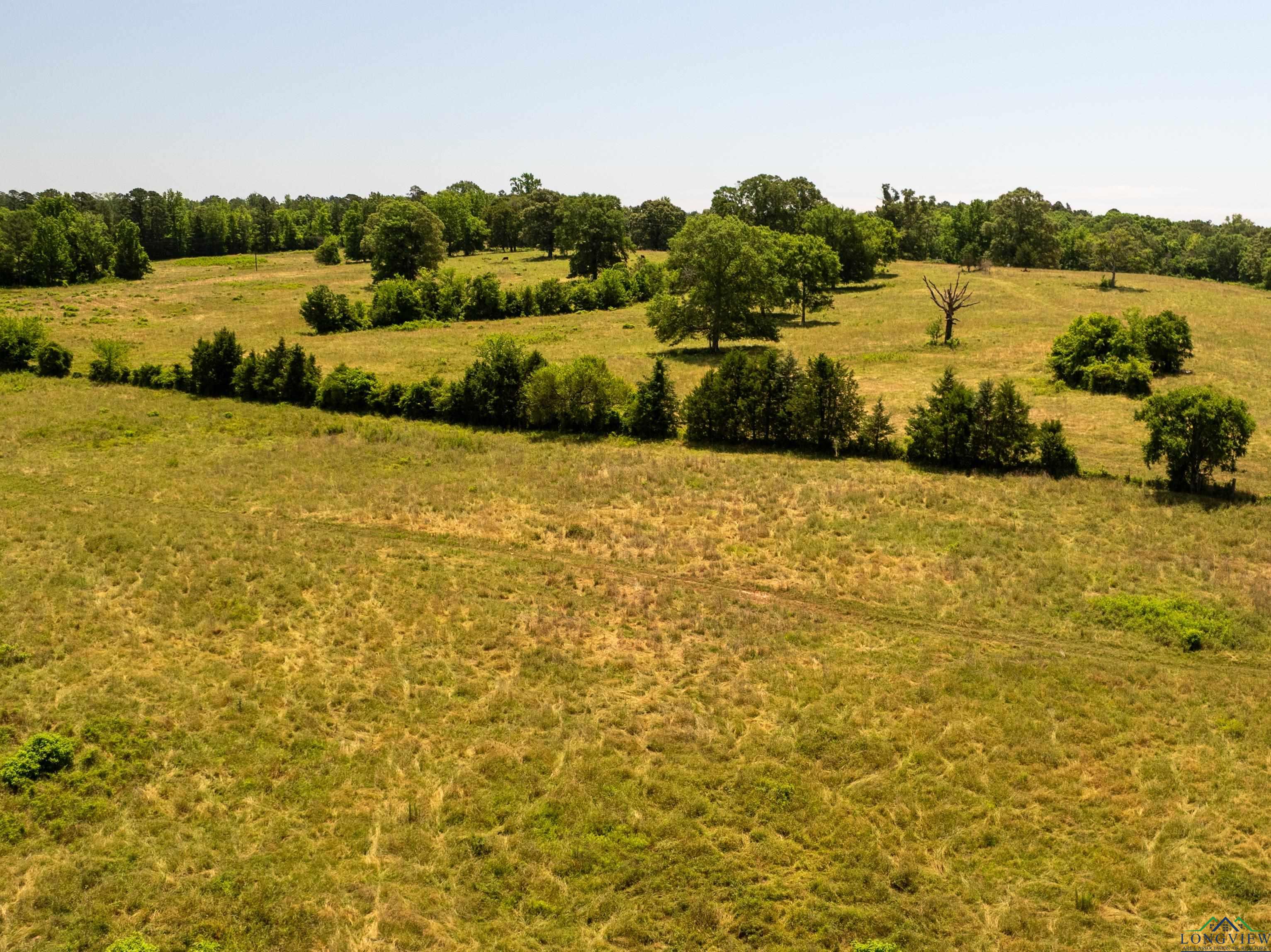 7557 Fm 248, Lodi, Texas image 45