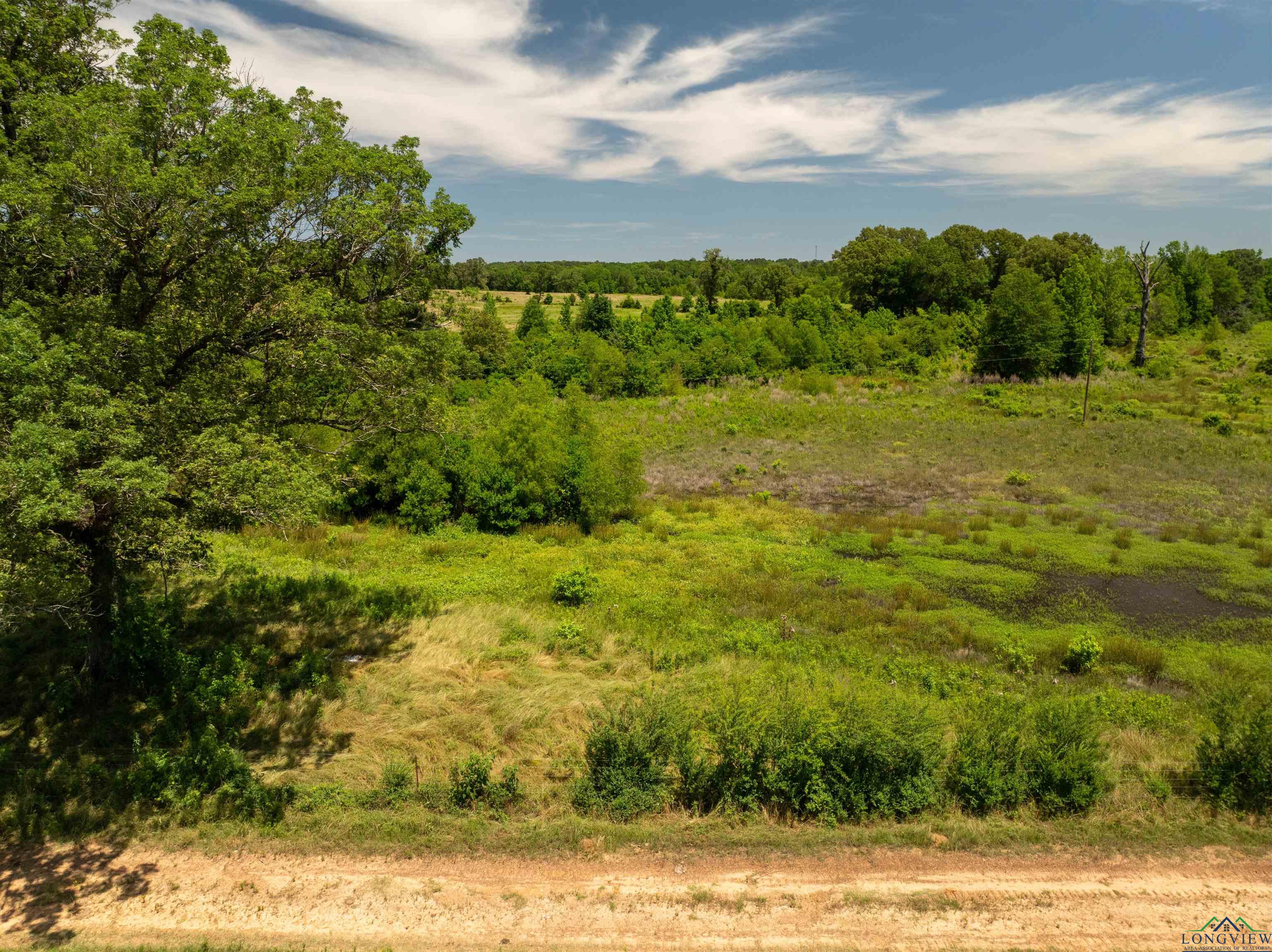 7557 Fm 248, Lodi, Texas image 33