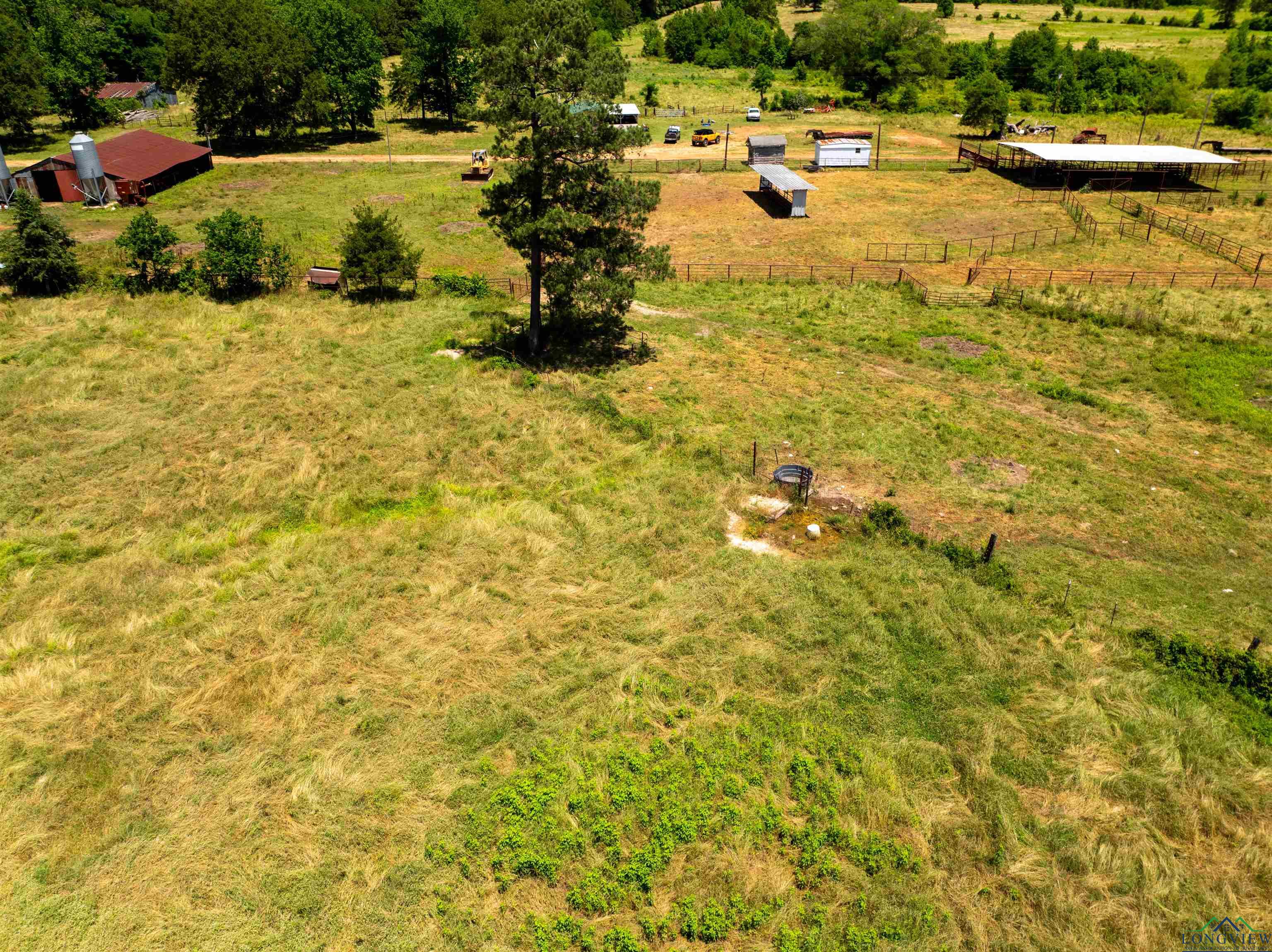 7557 Fm 248, Lodi, Texas image 4