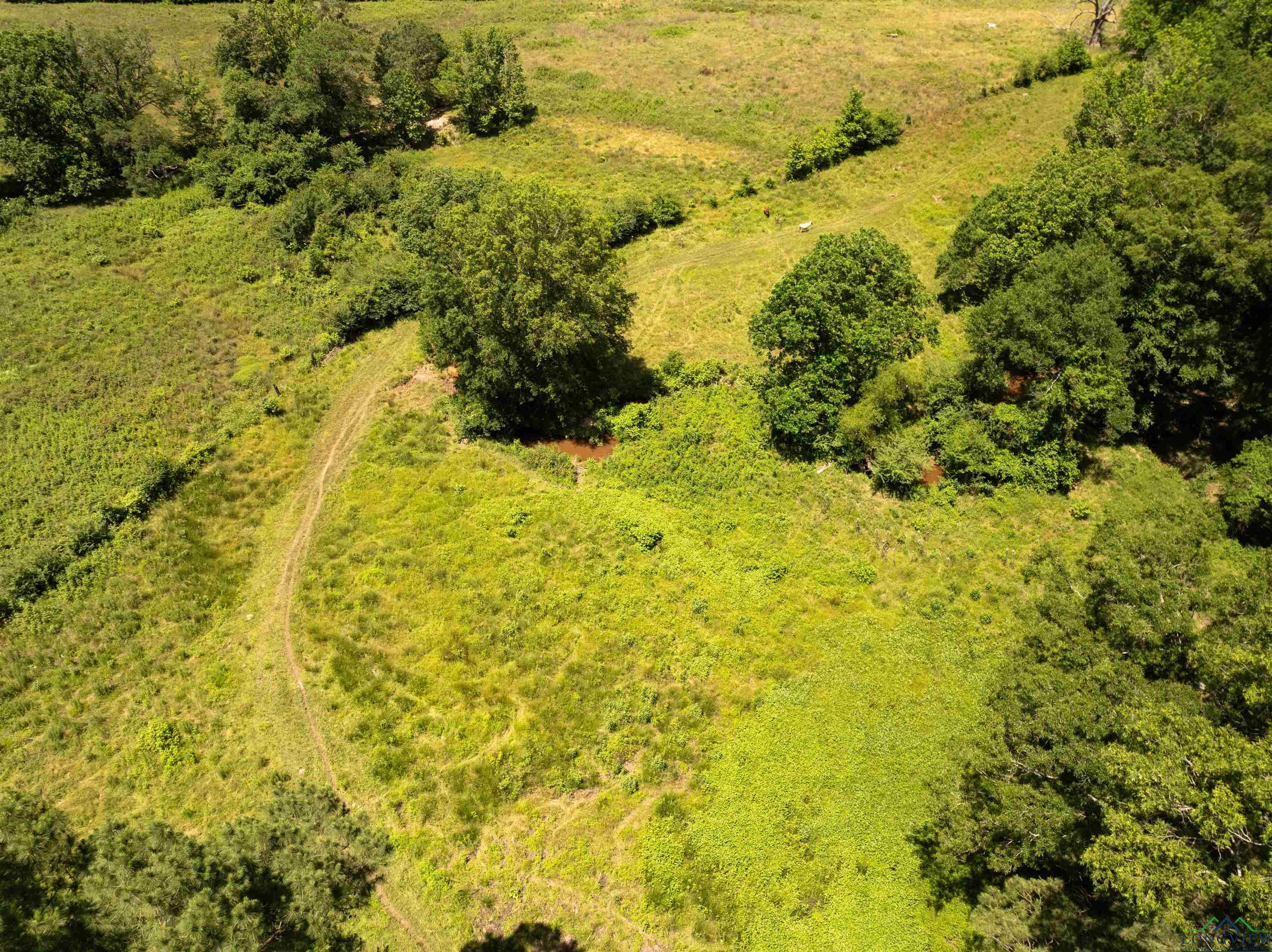 7557 Fm 248, Lodi, Texas image 41