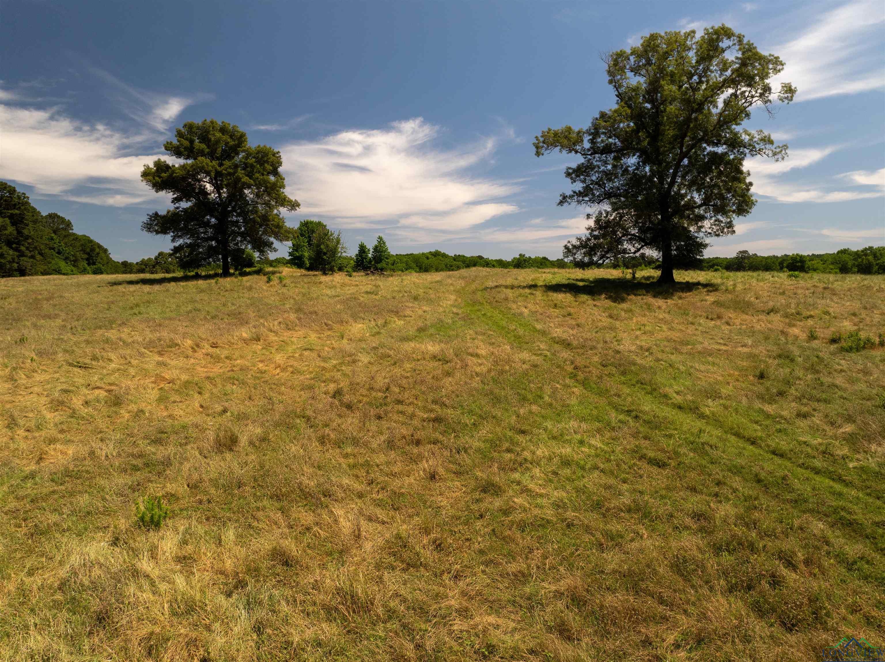 7557 Fm 248, Lodi, Texas image 36
