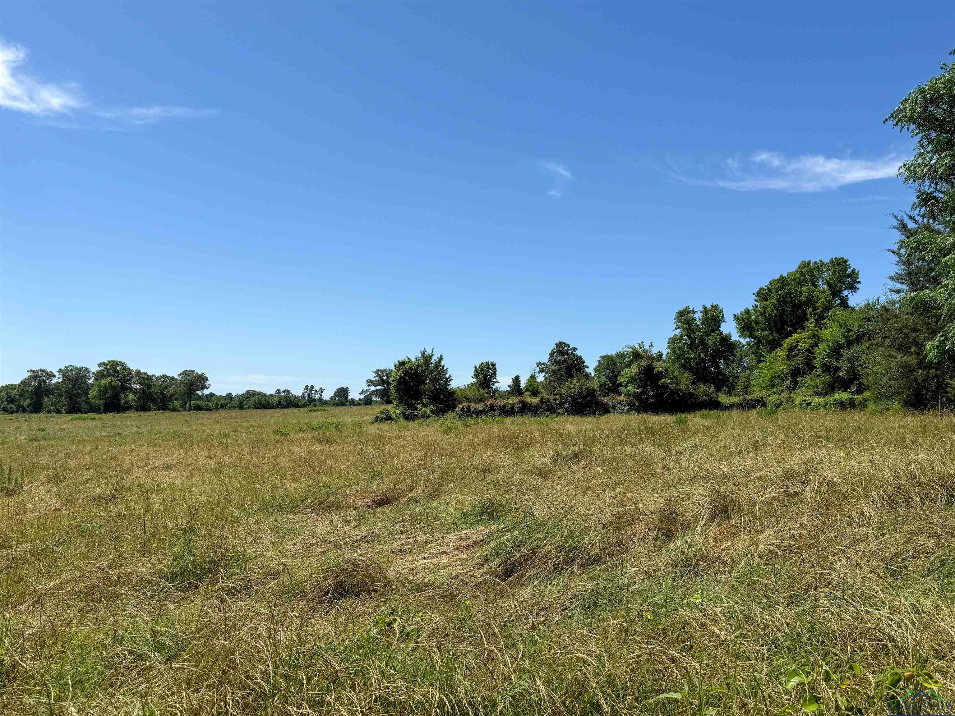7557 Fm 248, Lodi, Texas image 32