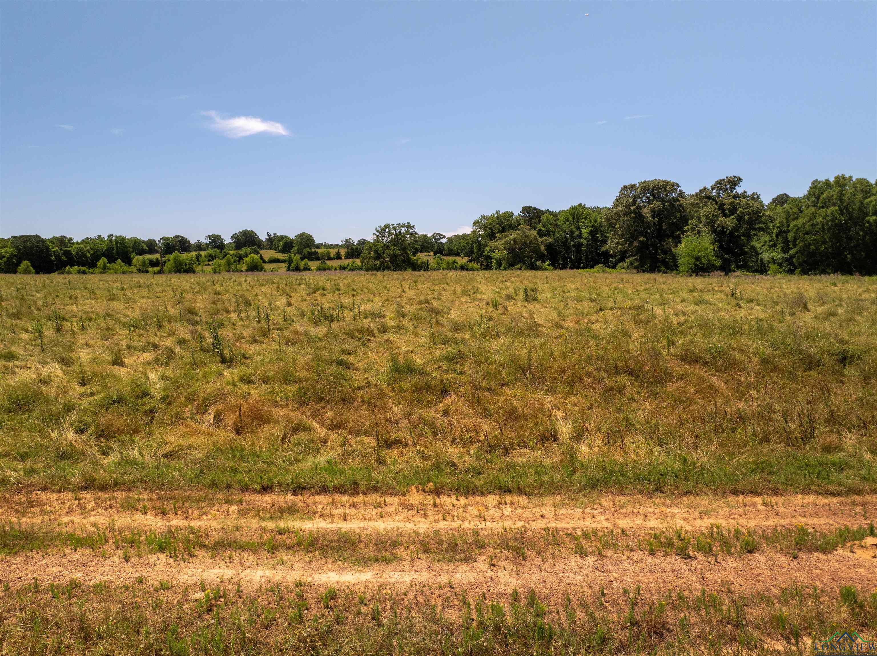 7557 Fm 248, Lodi, Texas image 44
