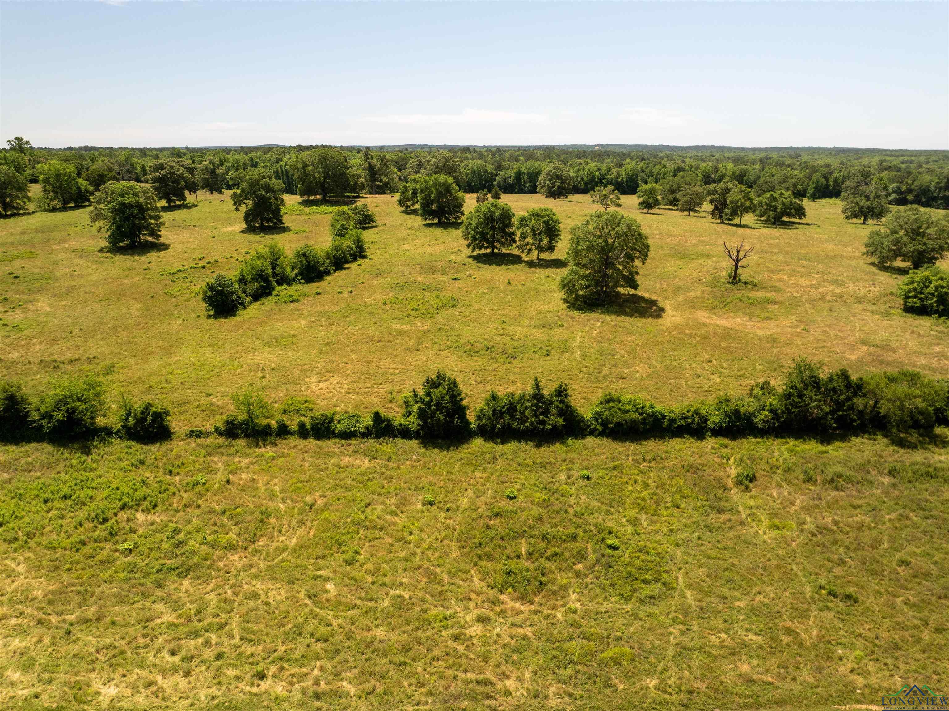 7557 Fm 248, Lodi, Texas image 46
