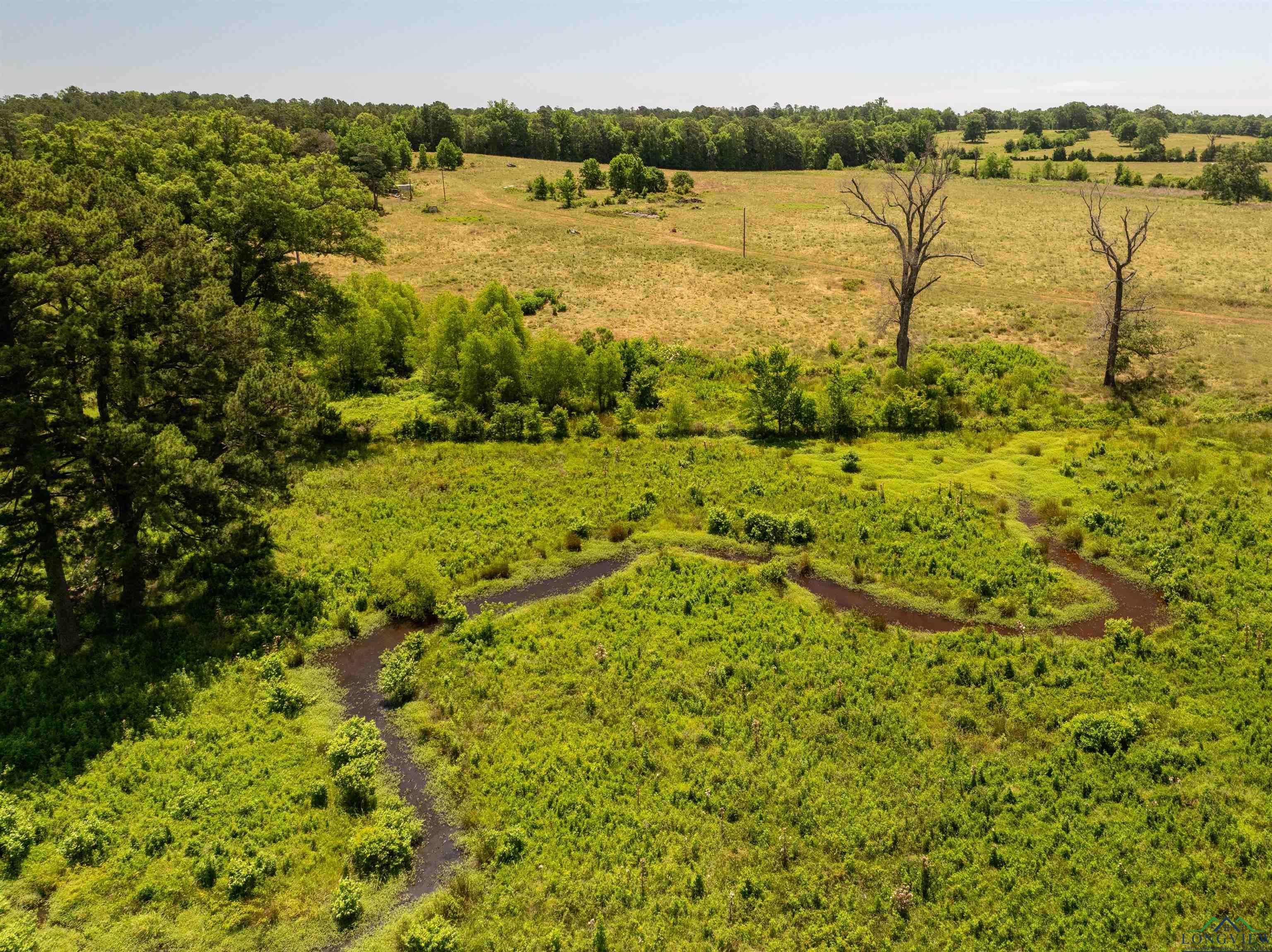 7557 Fm 248, Lodi, Texas image 34