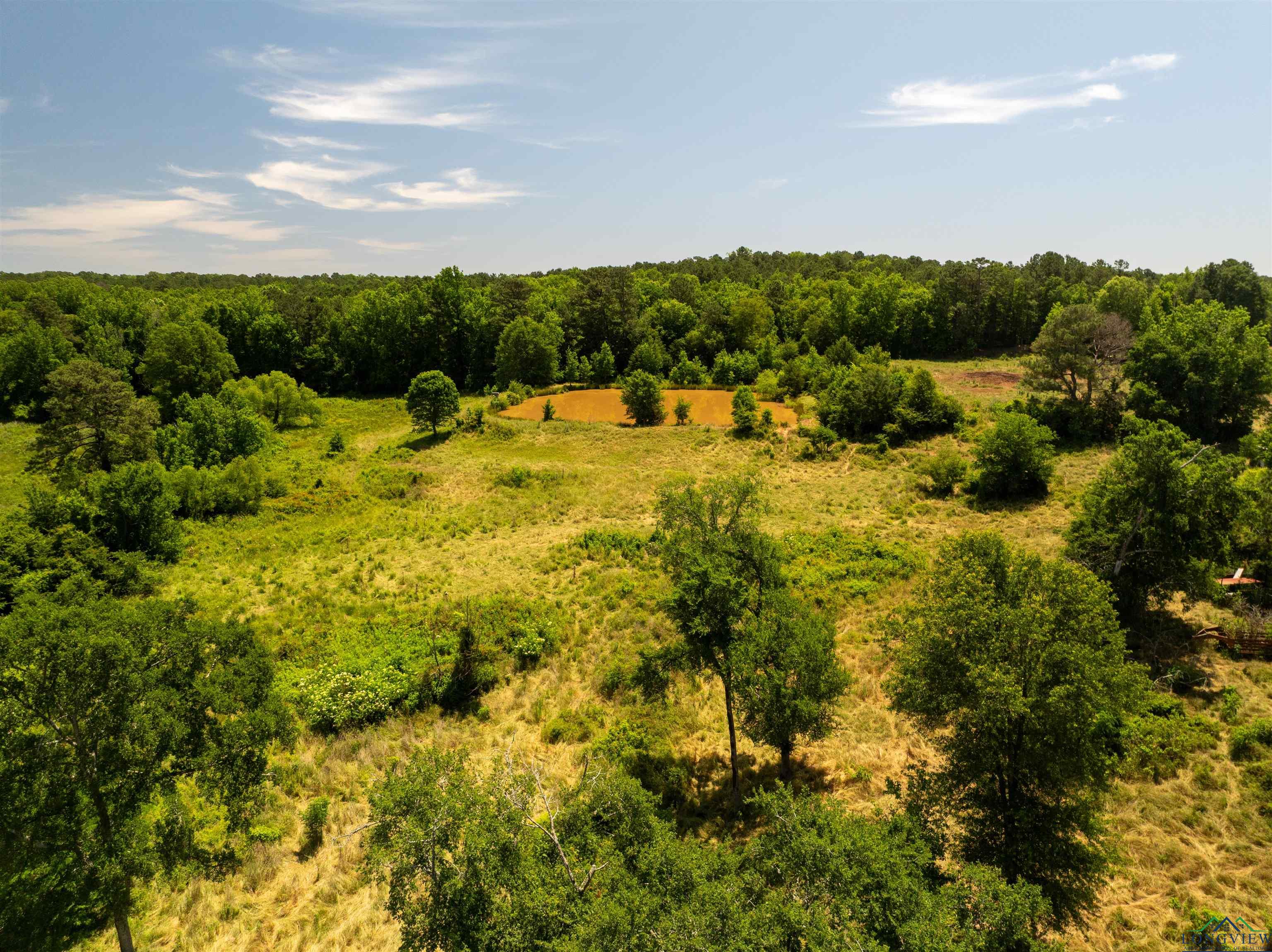7557 Fm 248, Lodi, Texas image 40