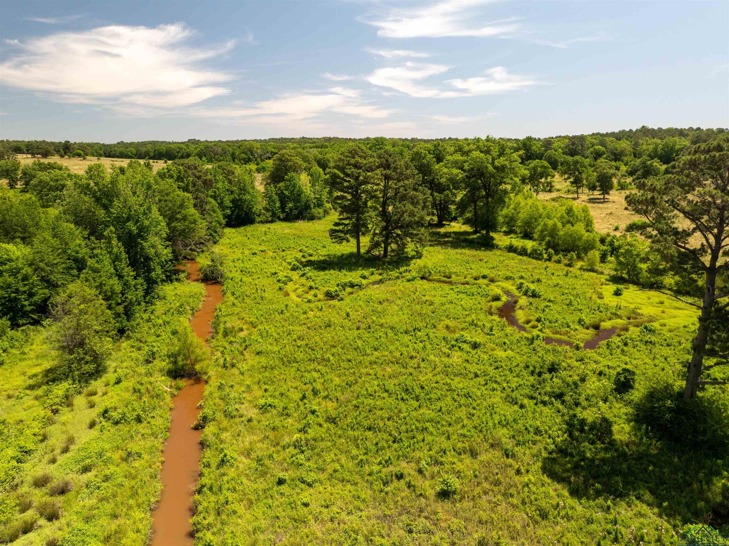 7557 Fm 248, Lodi, Texas image 37