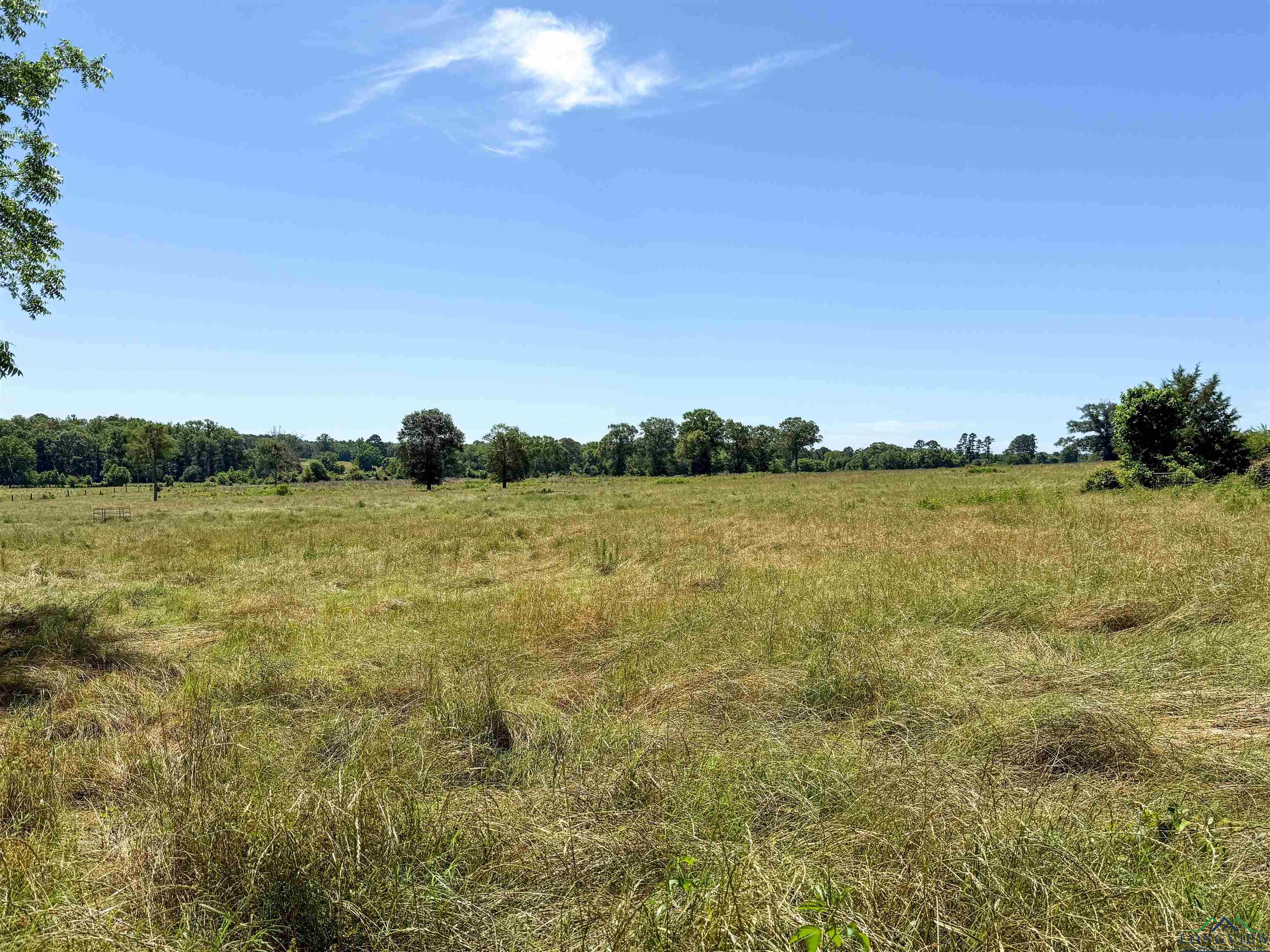 7557 Fm 248, Lodi, Texas image 31