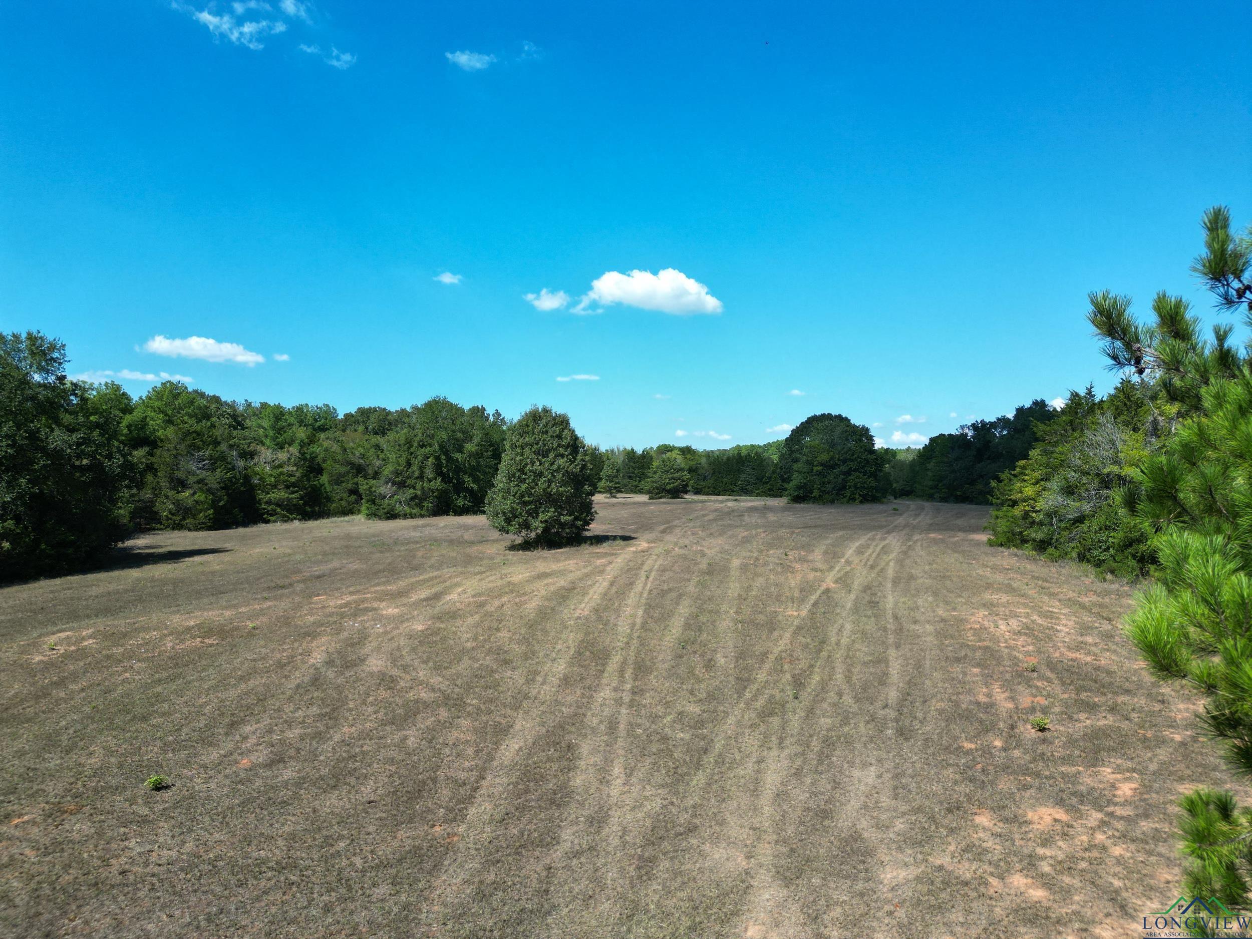 19319 Cr 442, Lindale, Texas image 1