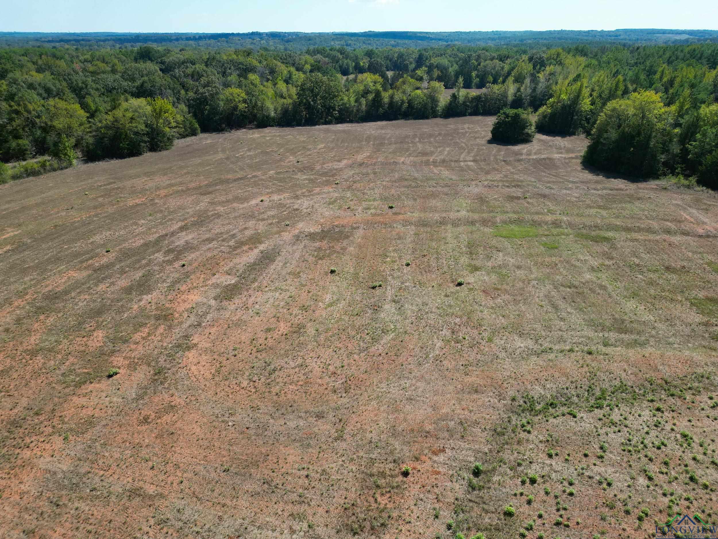 19319 Cr 442, Lindale, Texas image 4