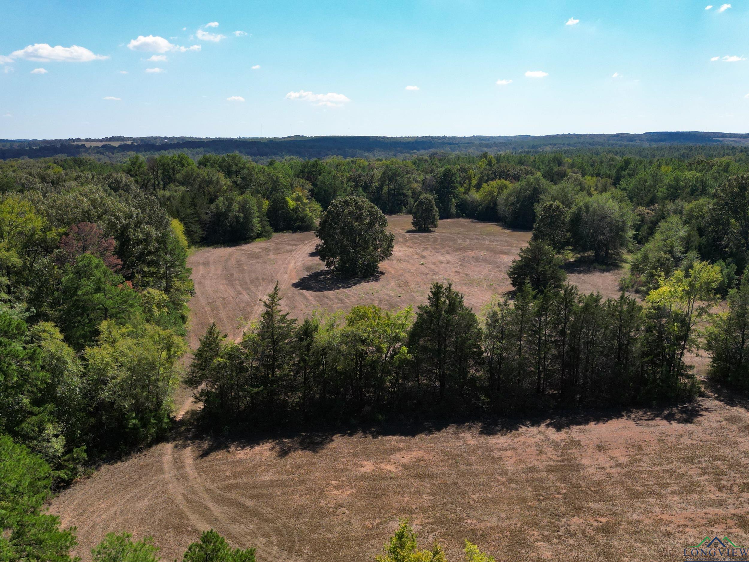 19319 Cr 442, Lindale, Texas image 7