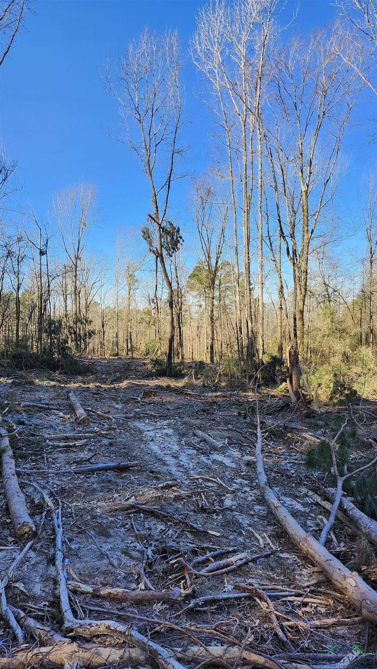 TBD County Rd 182 Trail, Timpson, Texas image 6