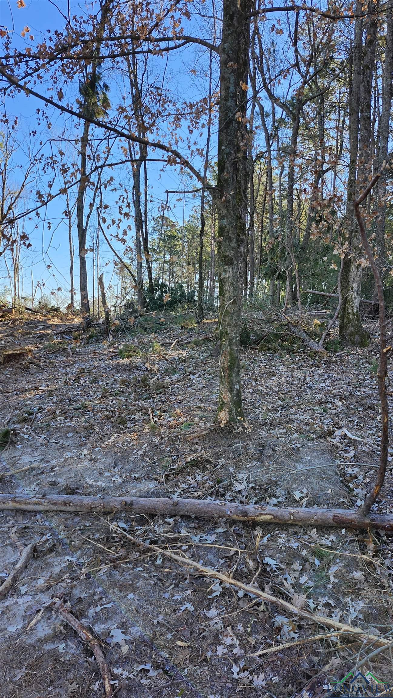 TBD County Rd 182 Trail, Timpson, Texas image 3