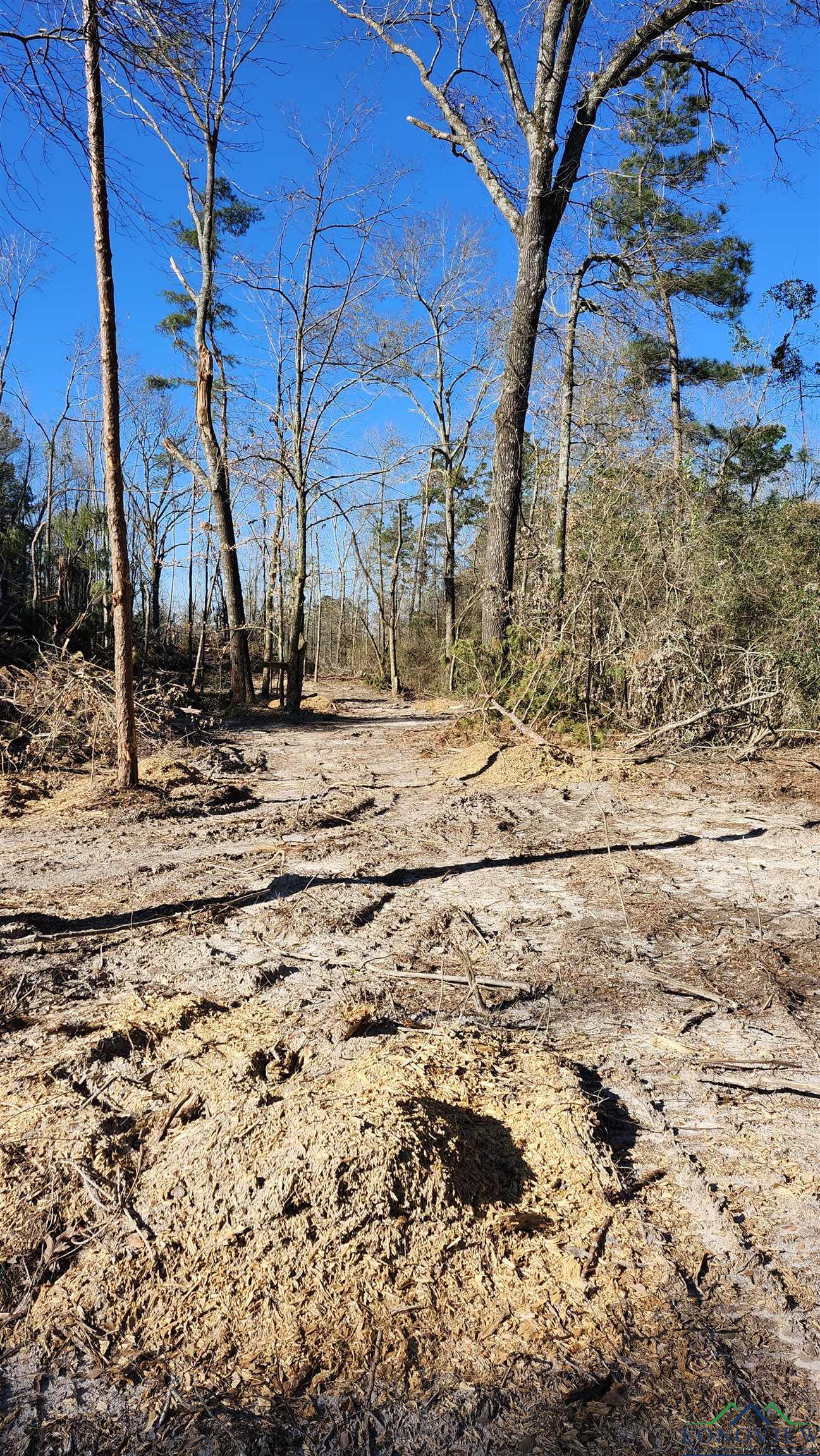 TBD County Rd 182 Trail, Timpson, Texas image 4