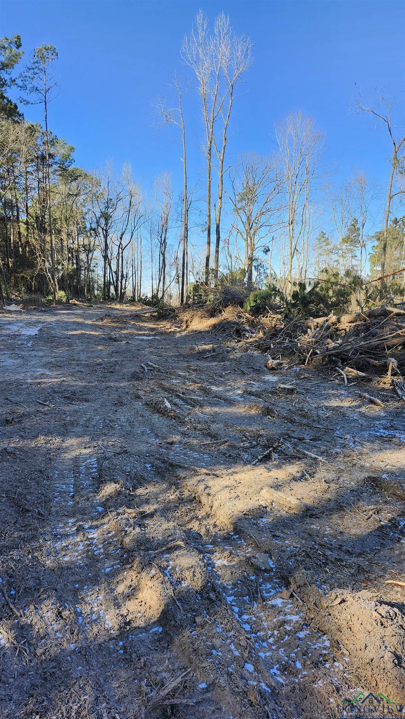 TBD County Rd 182 Trail, Timpson, Texas image 7