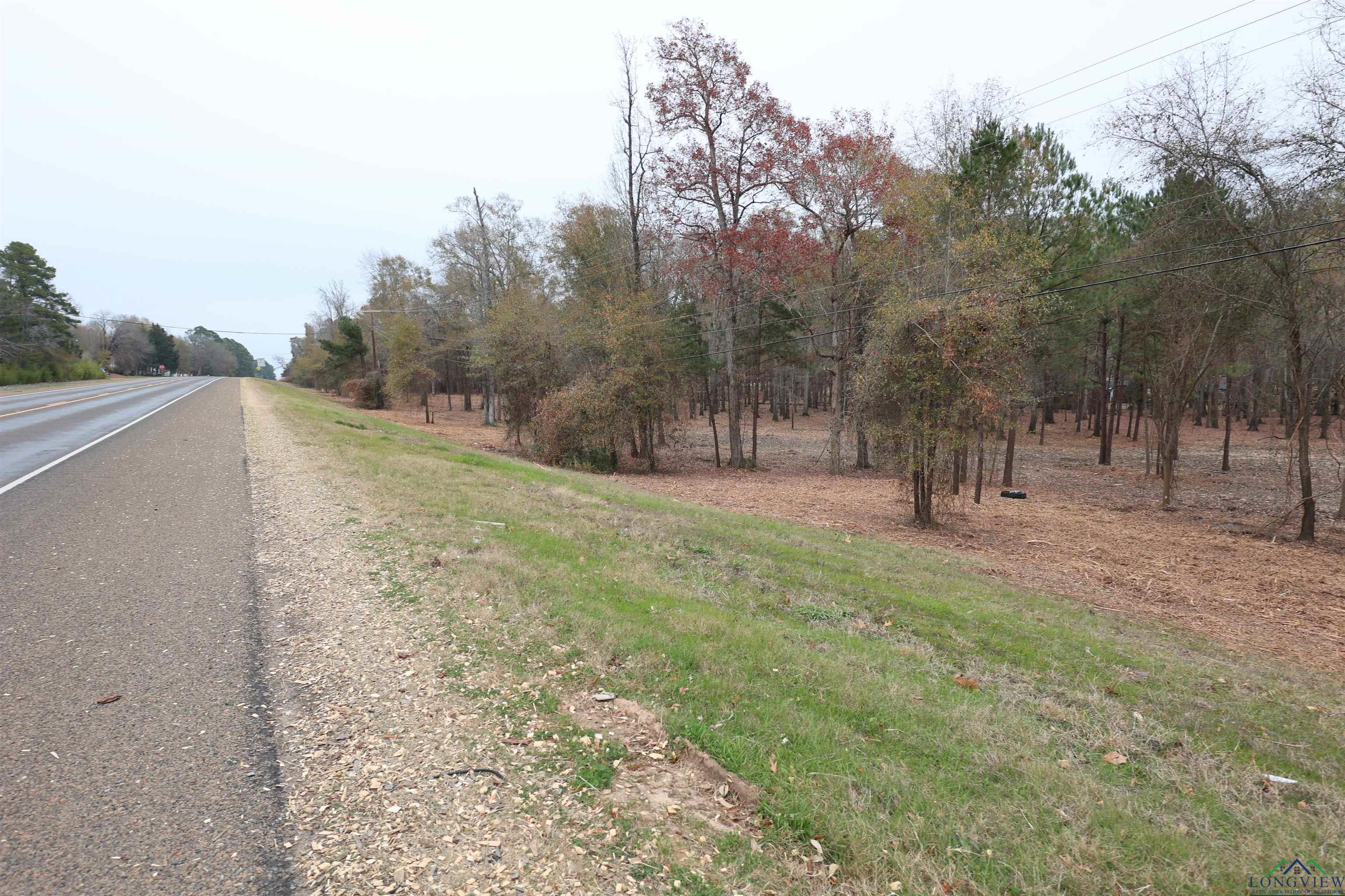 10 ACRES Hwy 43, Henderson, Texas image 1