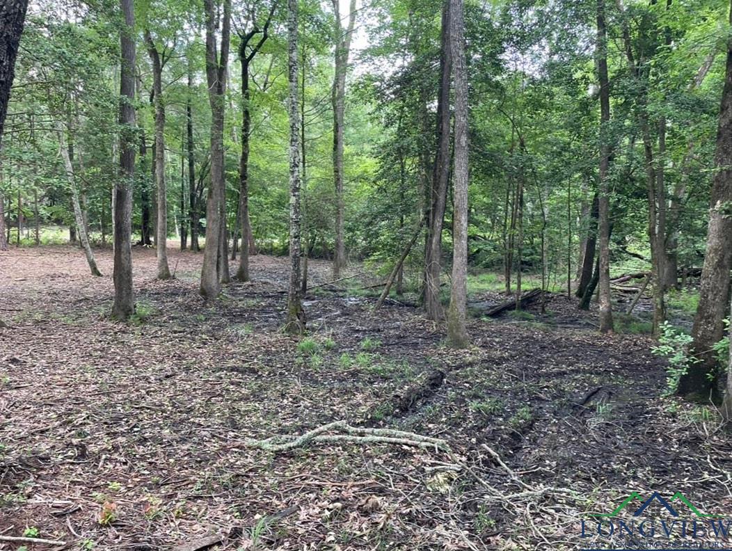 1688 Cr 1597, Avinger, Texas image 13