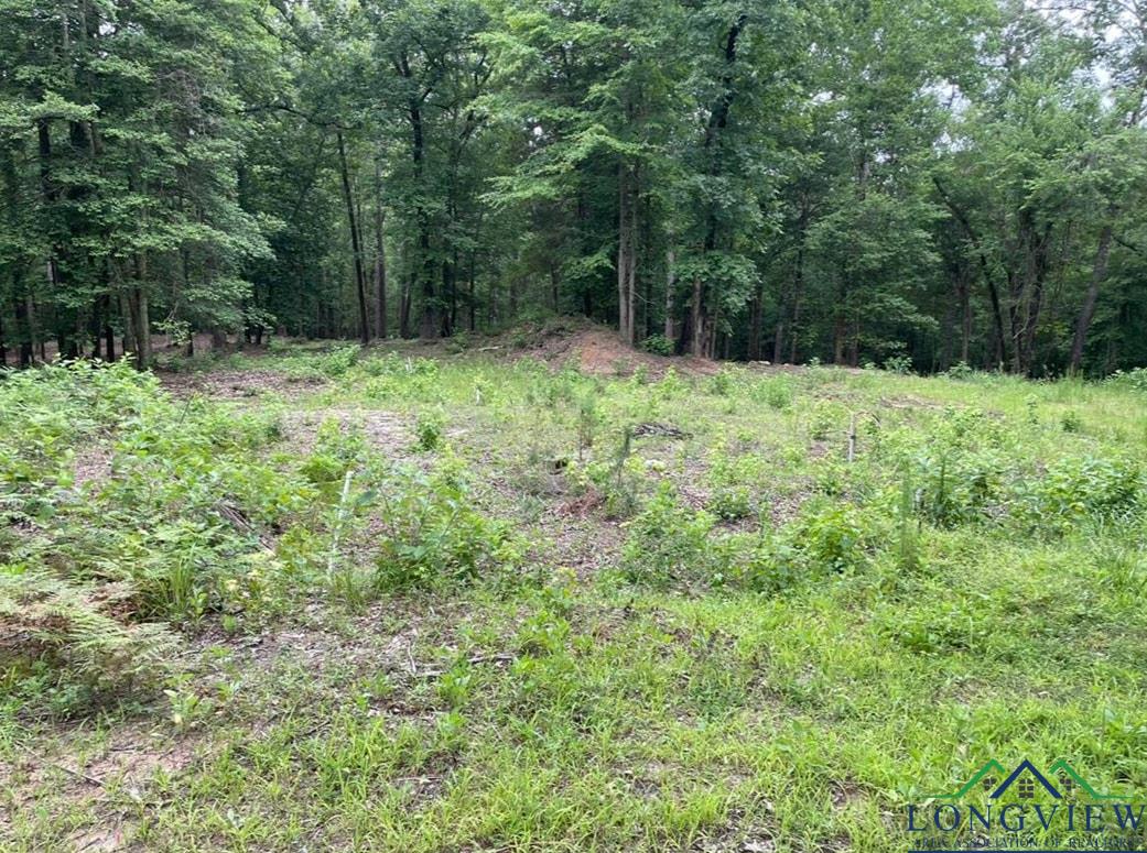 1688 Cr 1597, Avinger, Texas image 1