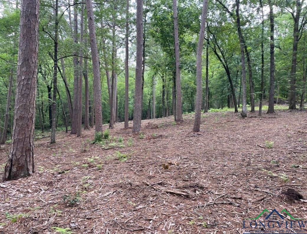 1688 Cr 1597, Avinger, Texas image 14