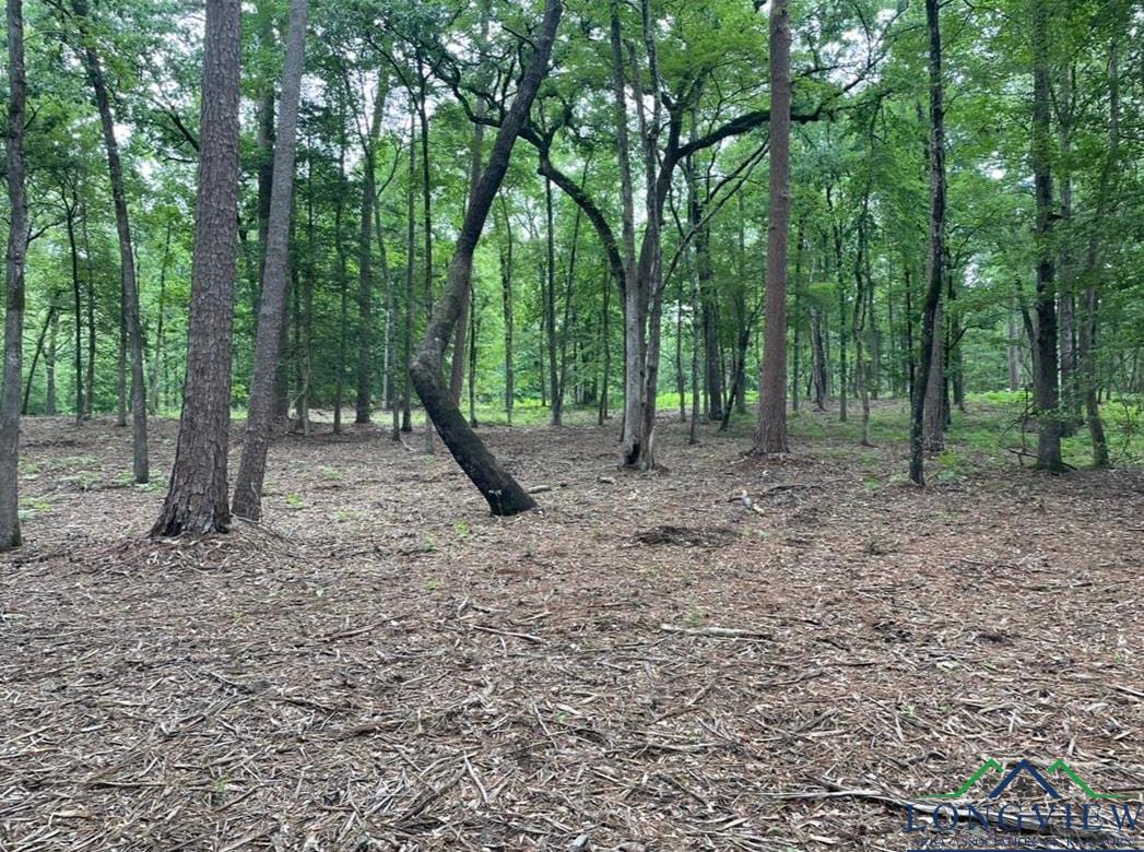 1688 Cr 1597, Avinger, Texas image 15