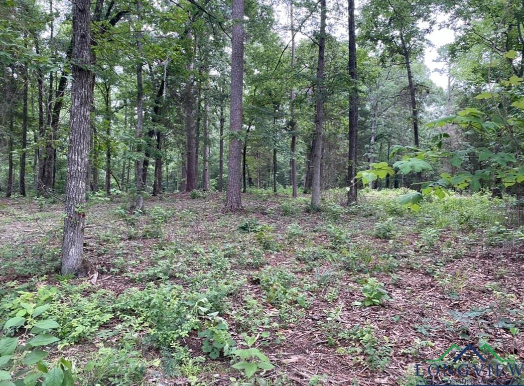 1688 Cr 1597, Avinger, Texas image 18