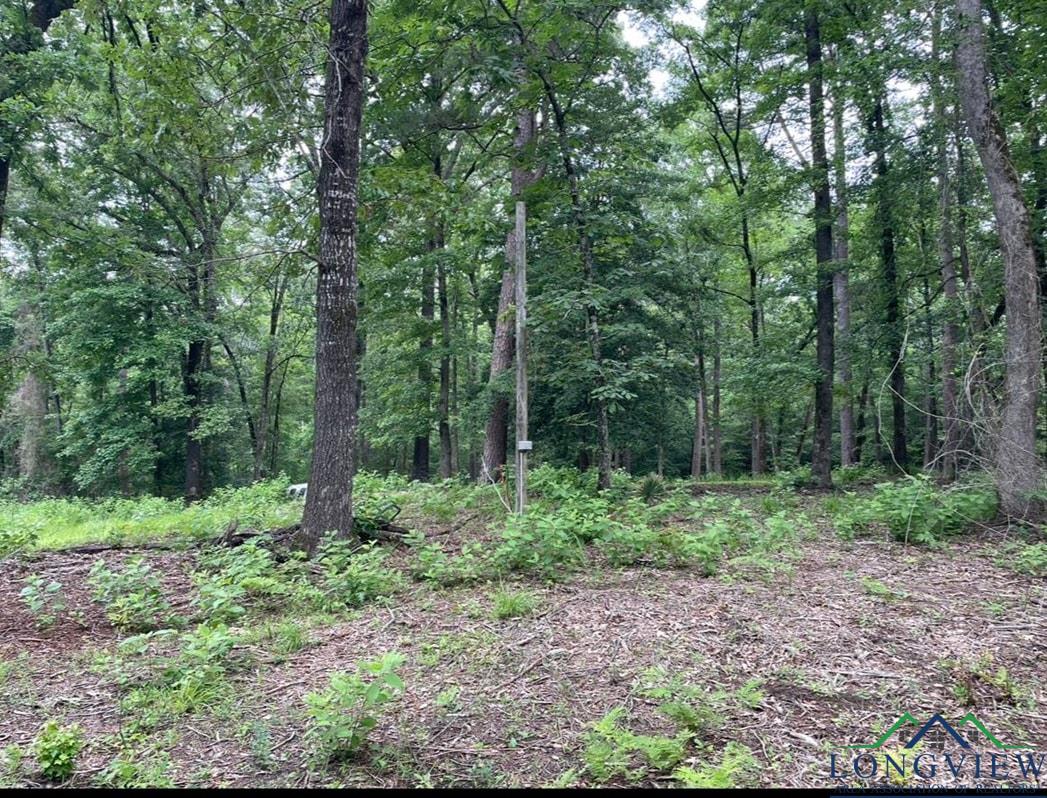 1688 Cr 1597, Avinger, Texas image 16