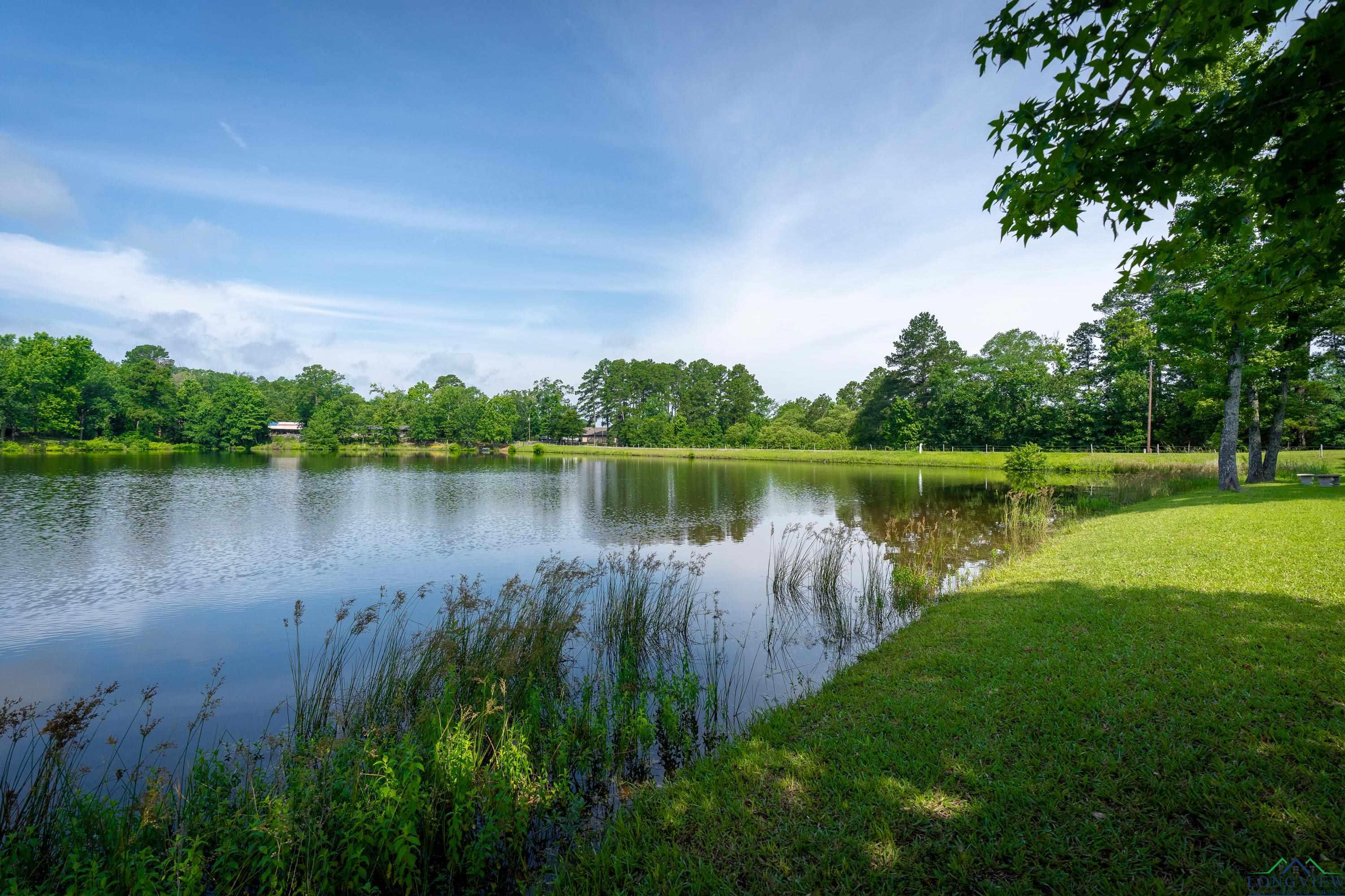 5972 Glenwood Dr, Gilmer, Texas image 43