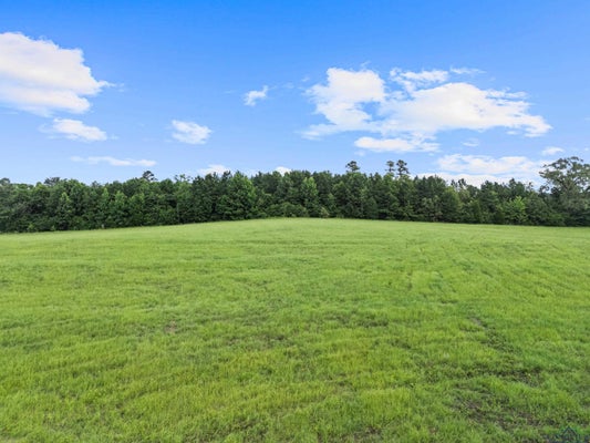 CRYSTAL FARMS RD, TATUM, TX 75691 - Image 7243a3ac776ea92e68e1f3b219f9f49b/972872983