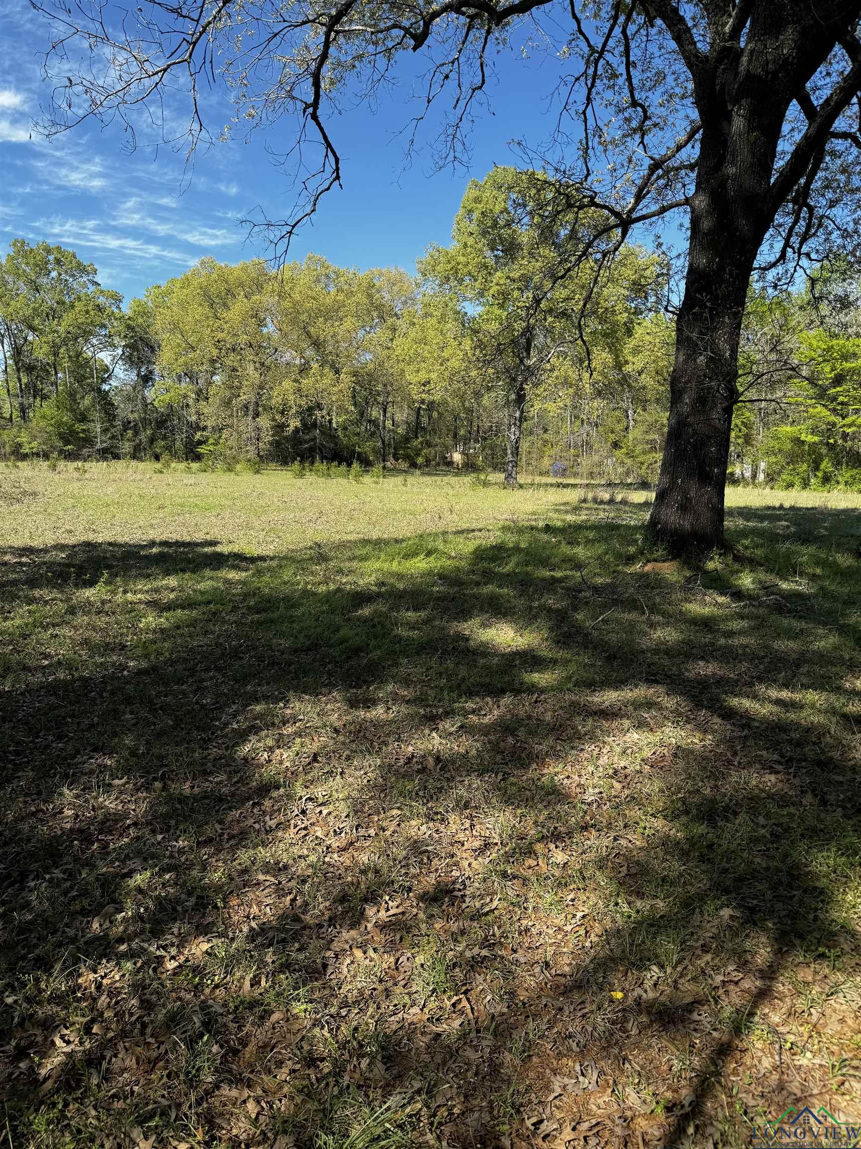 Hatley Rd, Marshall, Texas image 2