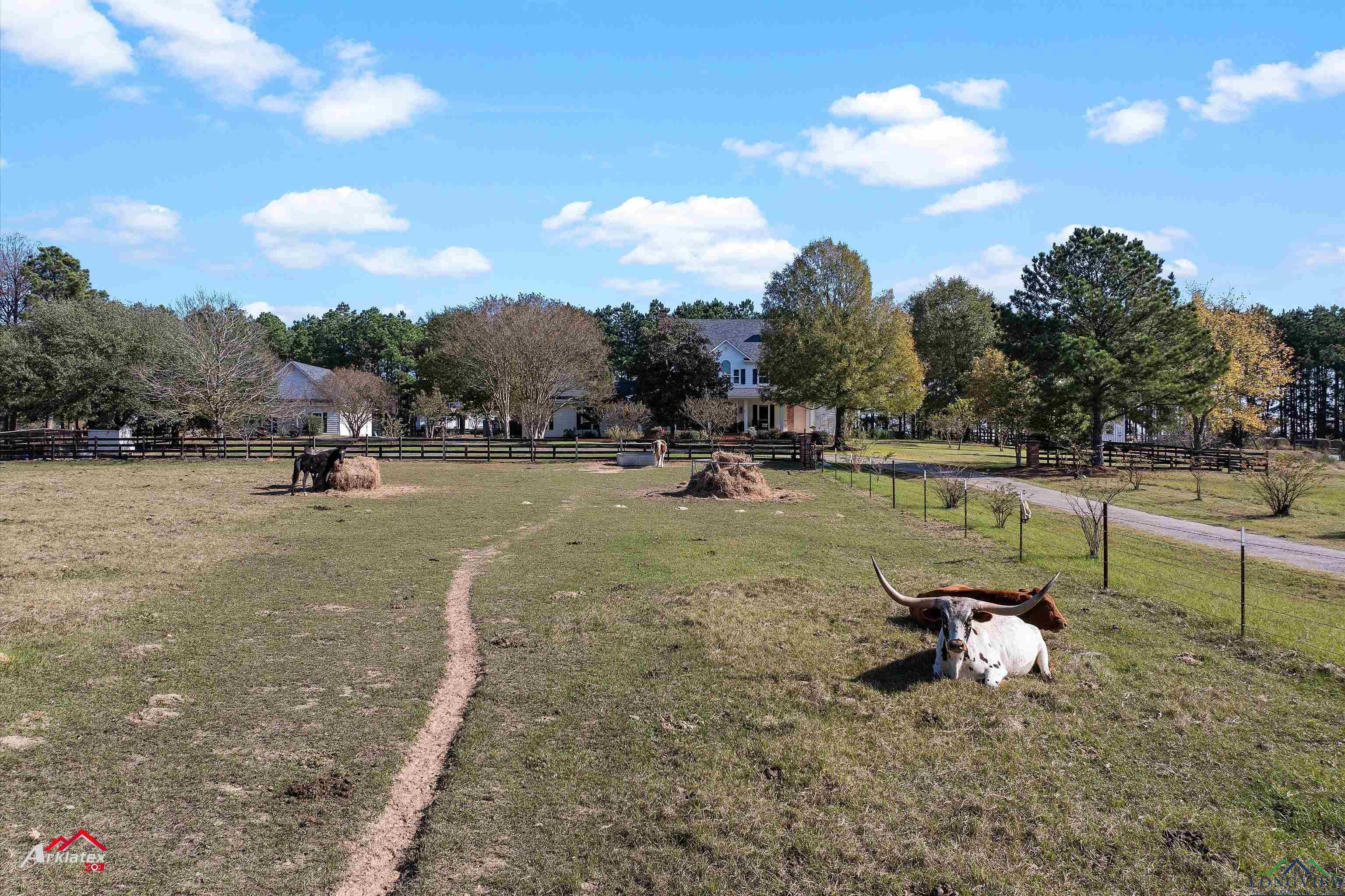 2878 A B Carter Road, Hallsville, Texas image 49