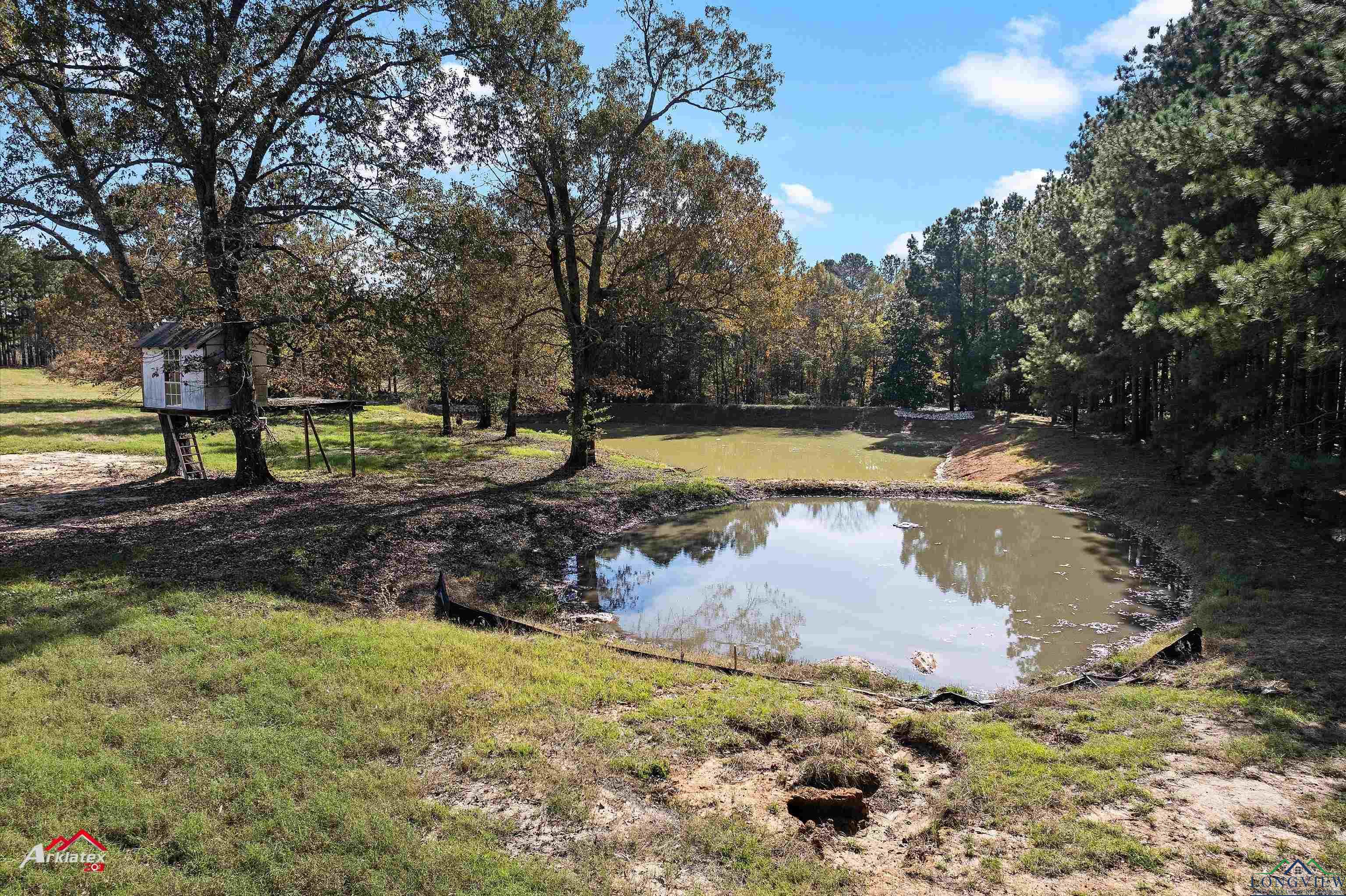 2878 A B Carter Road, Hallsville, Texas image 47